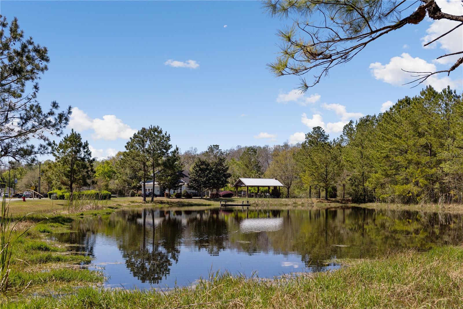 151 SW SILVER PALM DR, LAKE CITY, FL, 32024