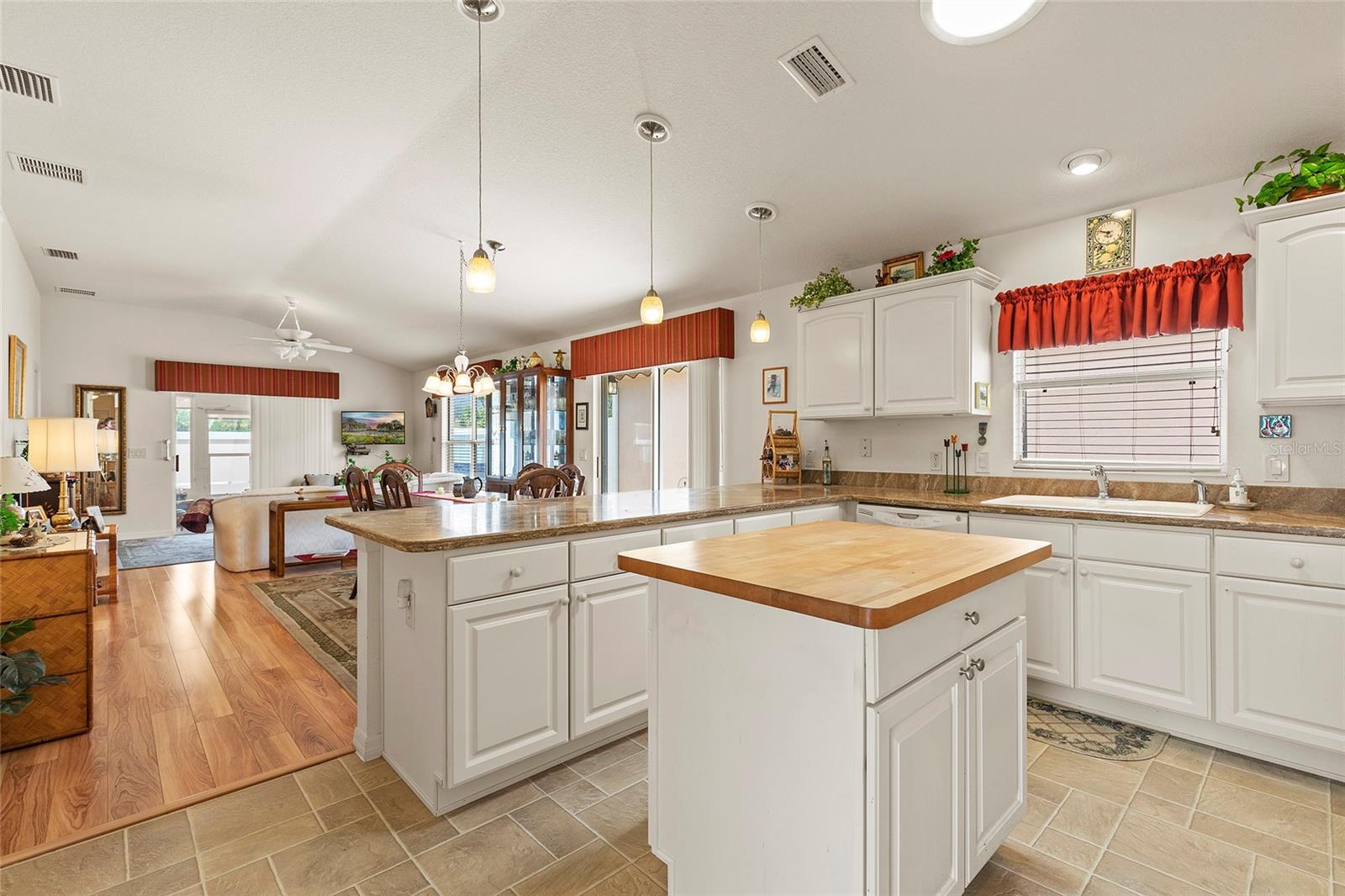 973 BUSTER PL, THE VILLAGES, FL, 32162