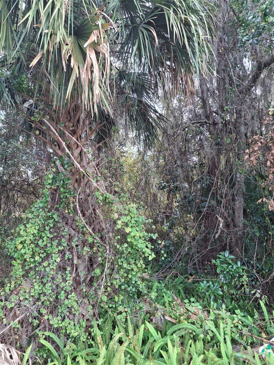 591 N STATE ROAD 415 N, OSTEEN,DELTONA, FL, 32764