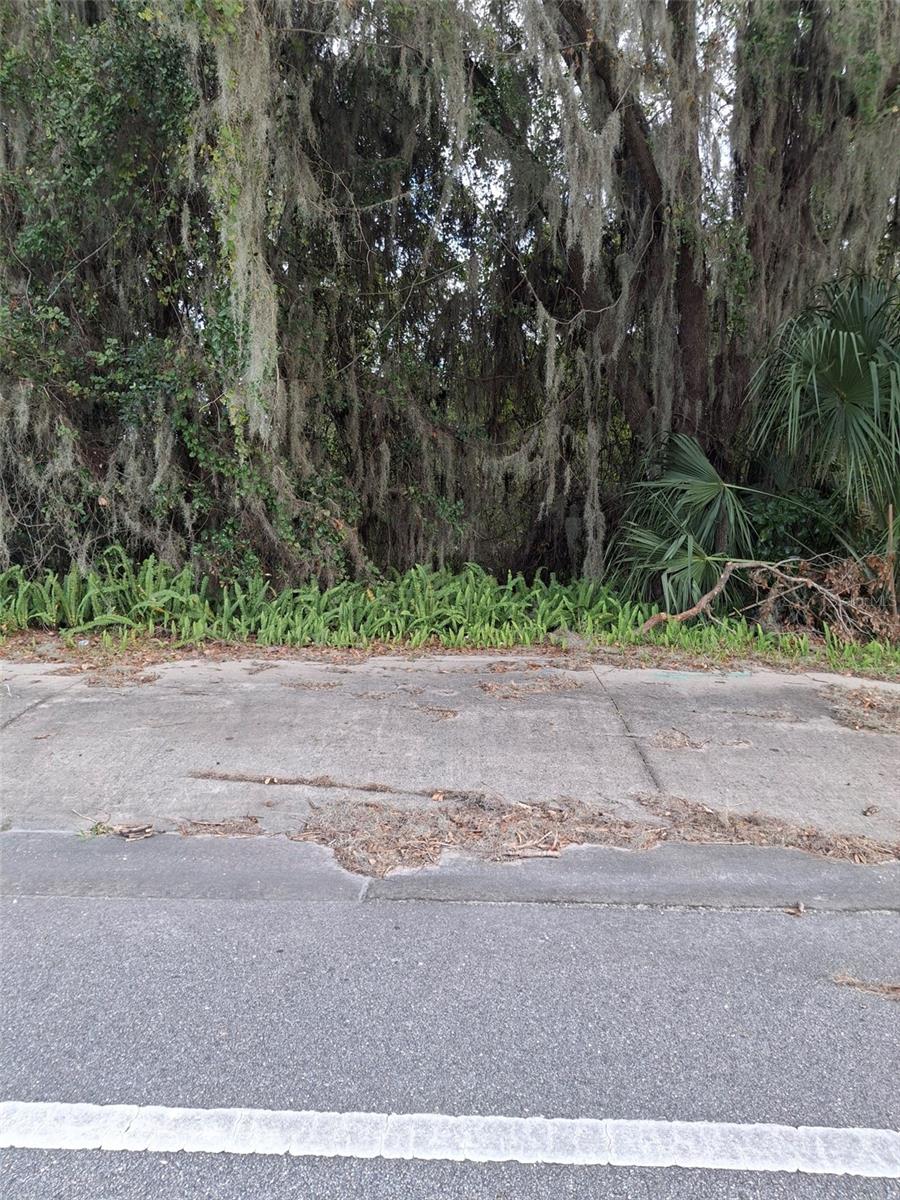 591 N STATE ROAD 415 N, OSTEEN,DELTONA, FL, 32764