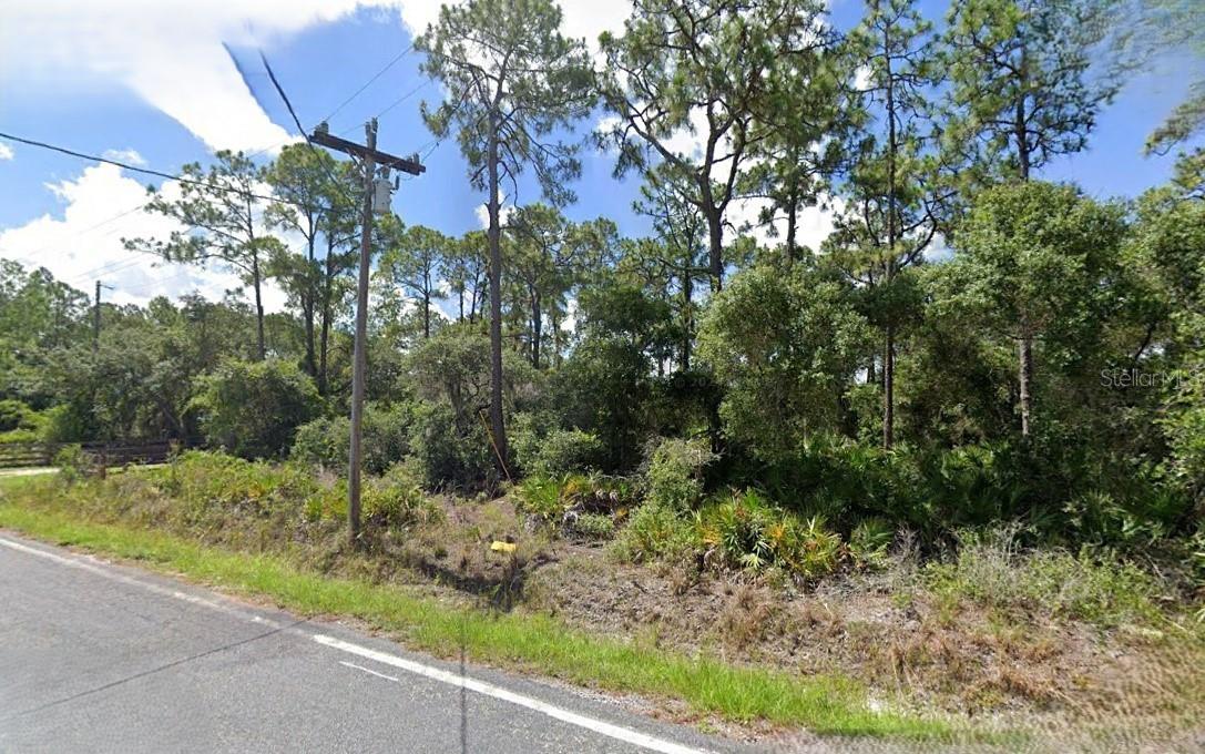 ROSALIE LAKE RD, LAKE WALES, FL, 33898