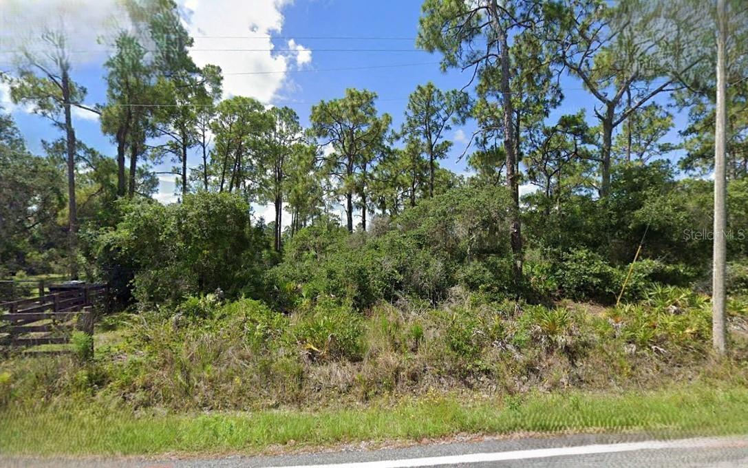 ROSALIE LAKE RD, LAKE WALES, FL, 33898