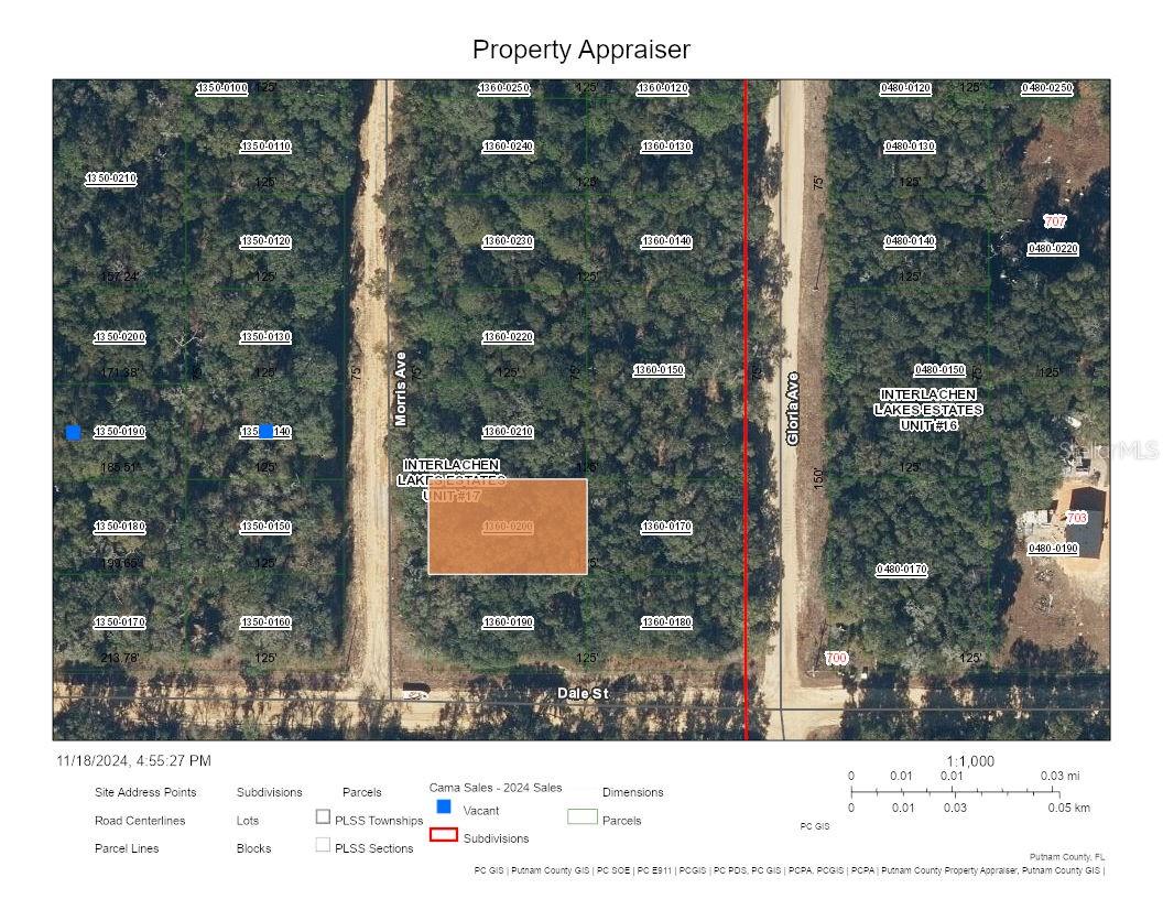 0 MORRIS AVE, INTERLACHEN, FL, 32148