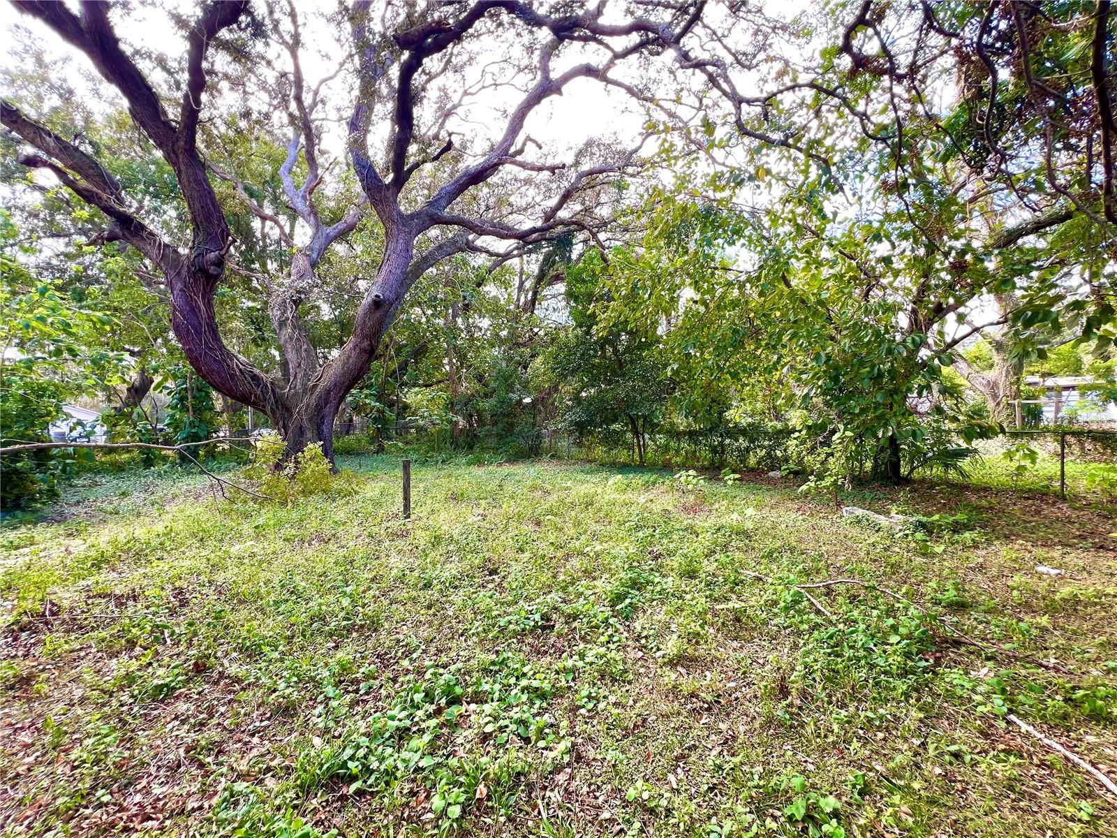 30 E ELLA J GILMORE ST, APOPKA, FL, 32703