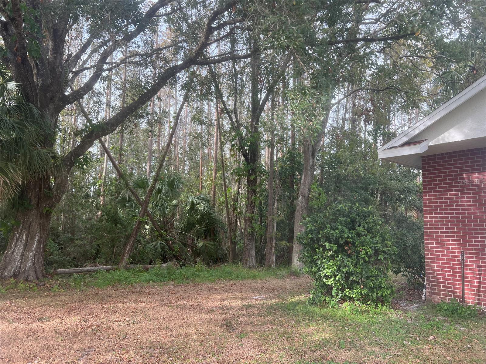 3754 BRAMBLEWOOD BLVD, LAND O LAKES, FL, 34639