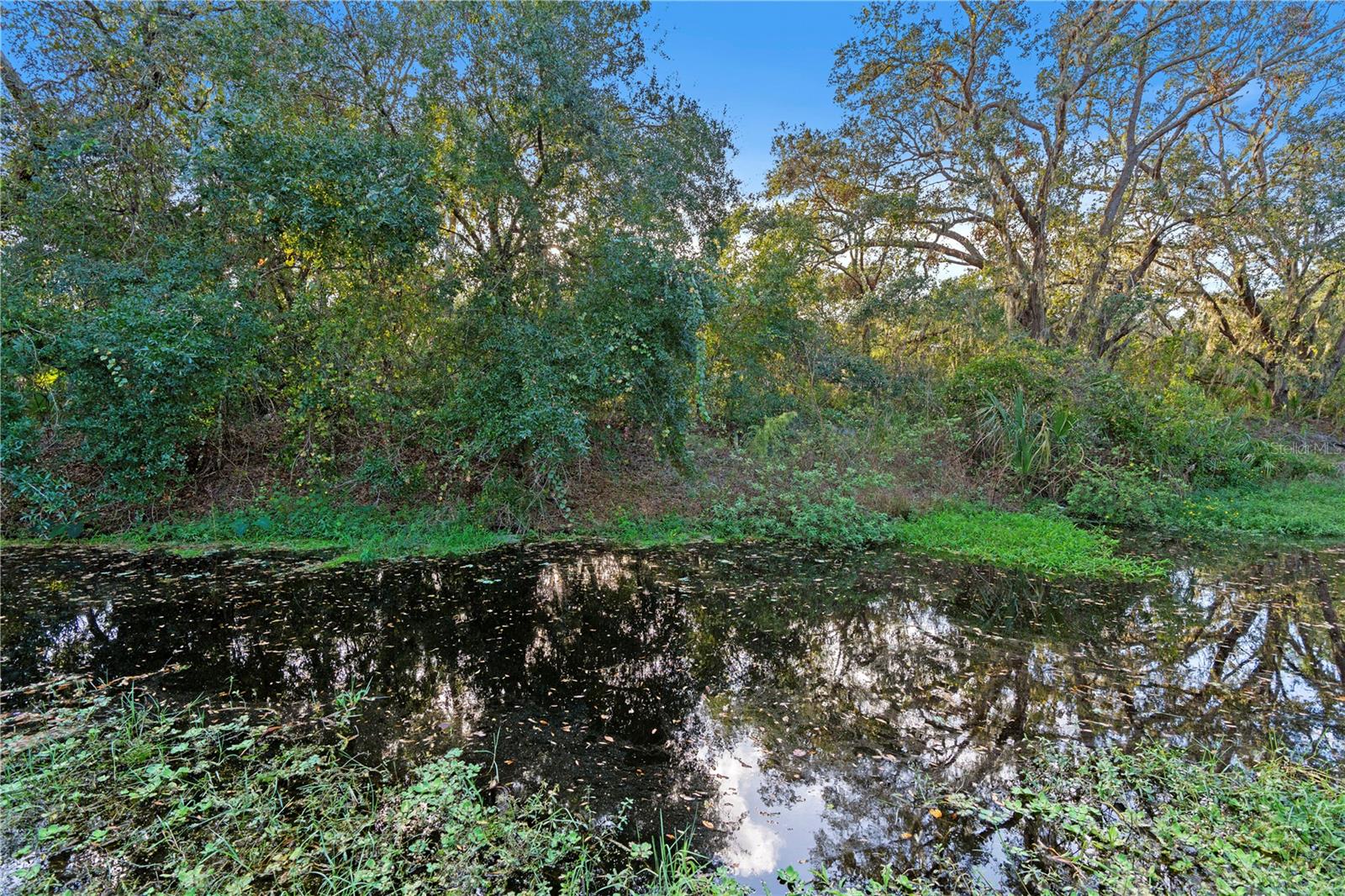6 ROSALIE OAKS BLVD, LAKE WALES, FL, 33898