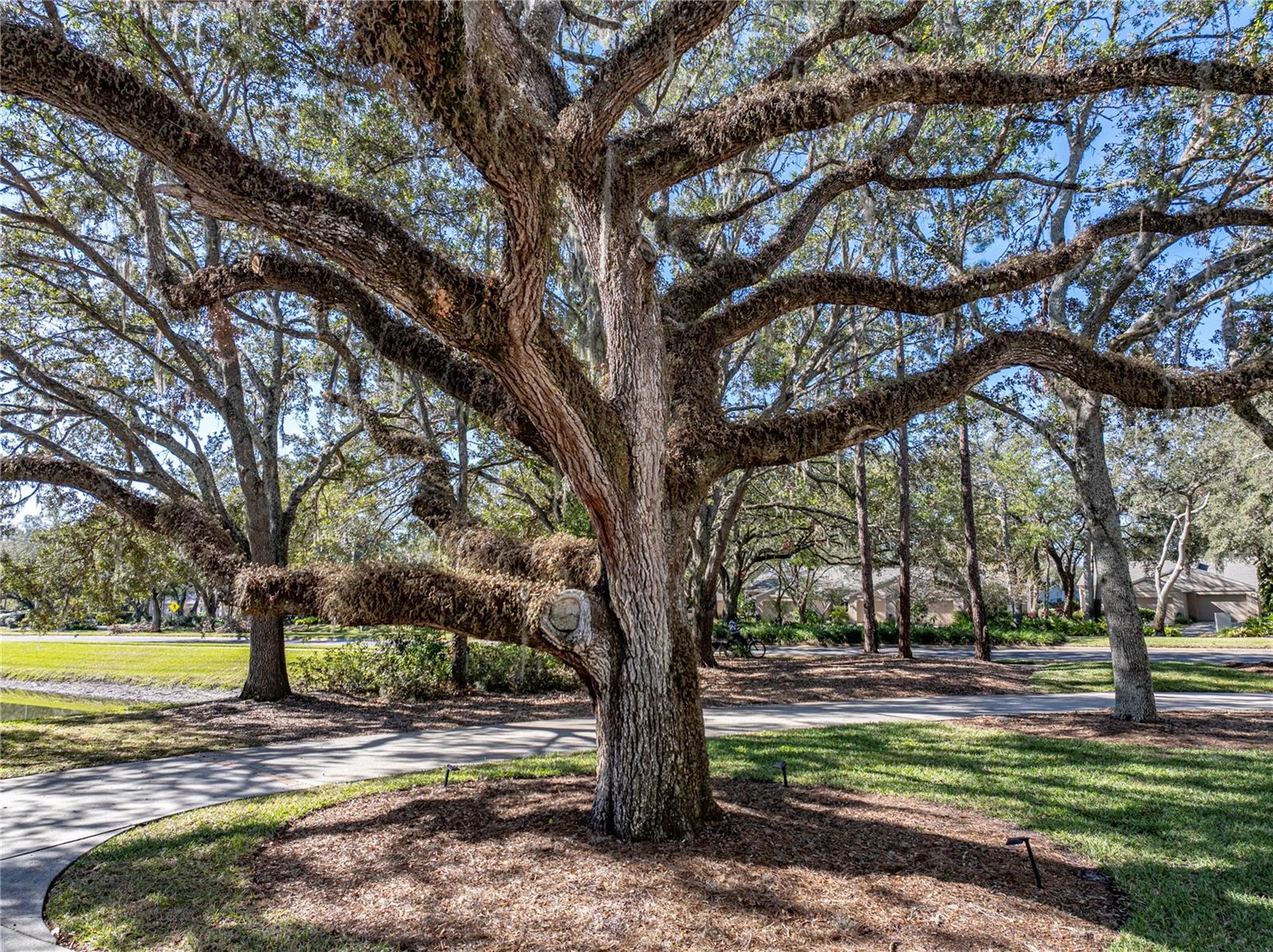5212 GOLF LINKS BLVD, ZEPHYRHILLS, FL, 33541
