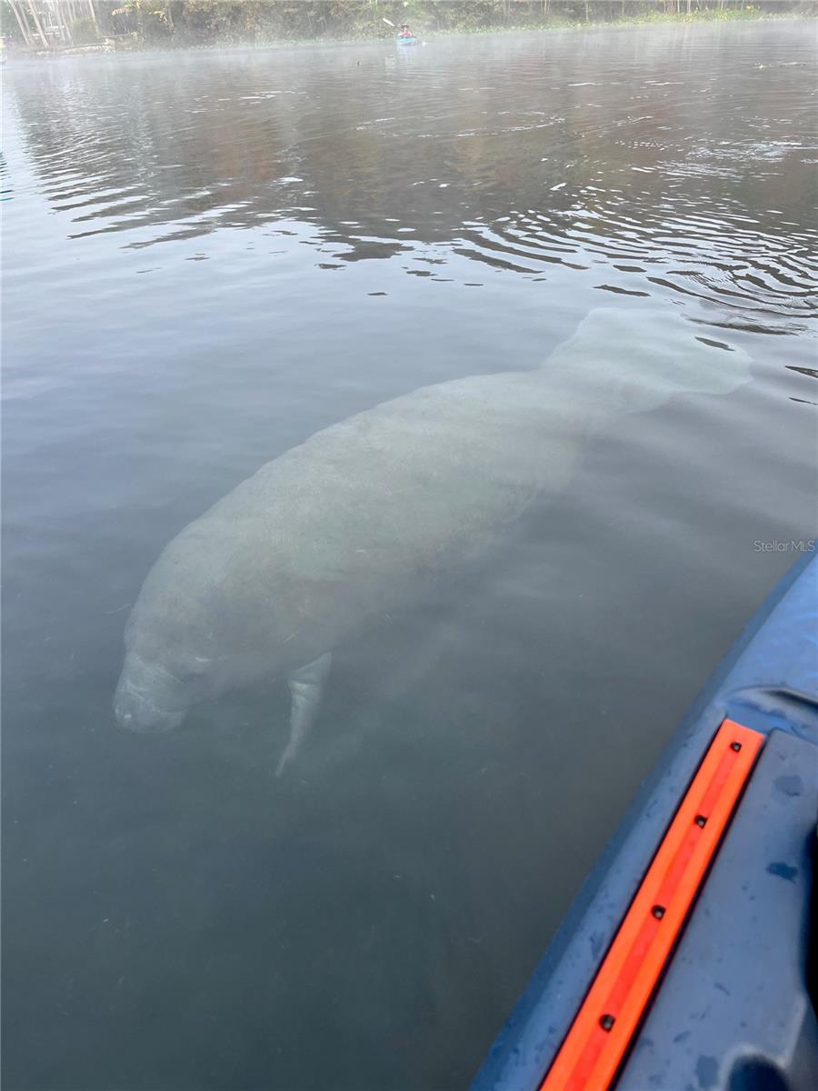 10323 NE 28TH LOOP, SILVER SPRINGS, FL, 34488