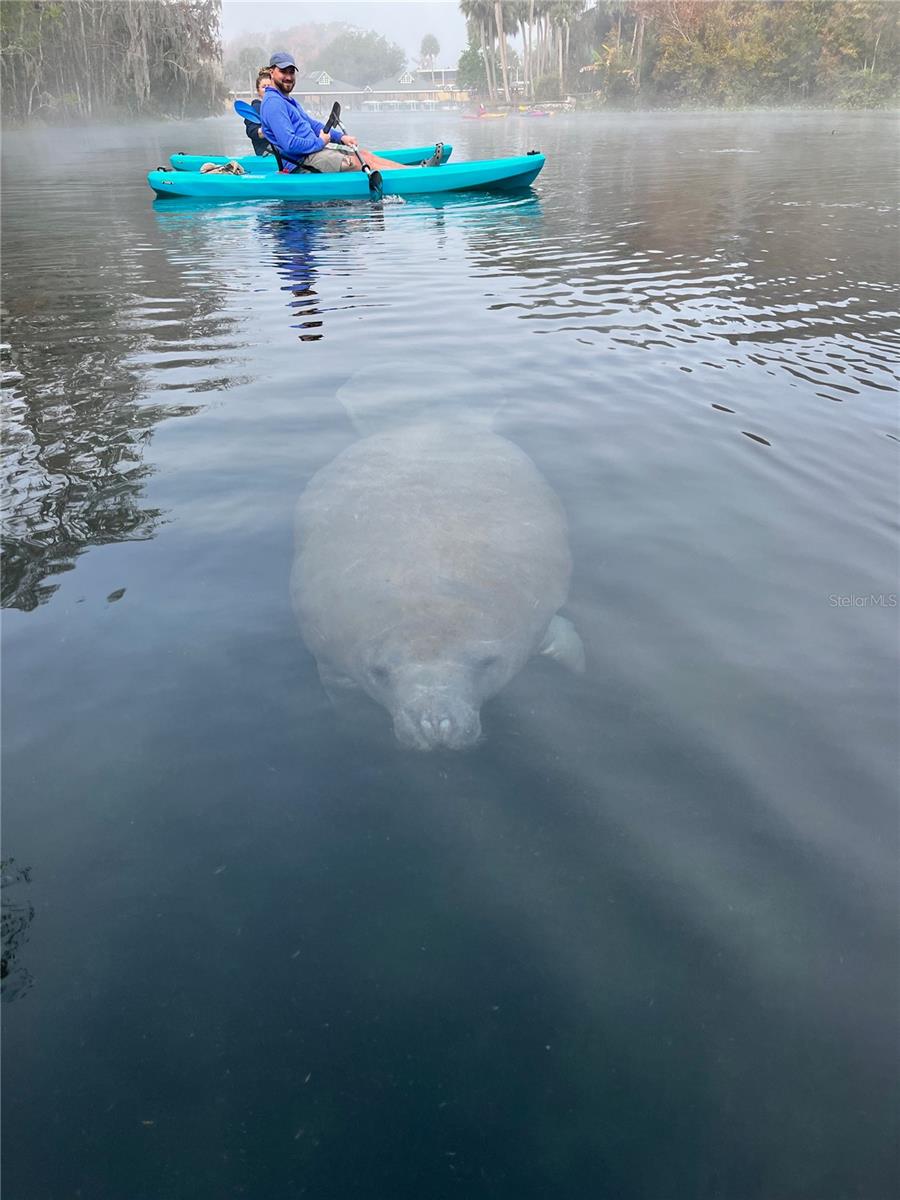 10323 NE 28TH LOOP, SILVER SPRINGS, FL, 34488