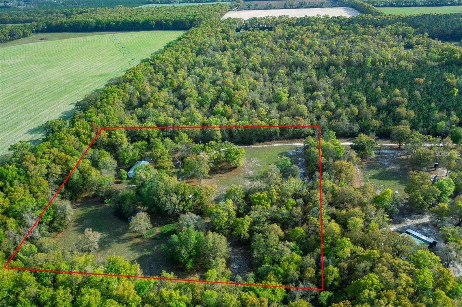 5310 SW 53RD LN, TRENTON, FL, 32693