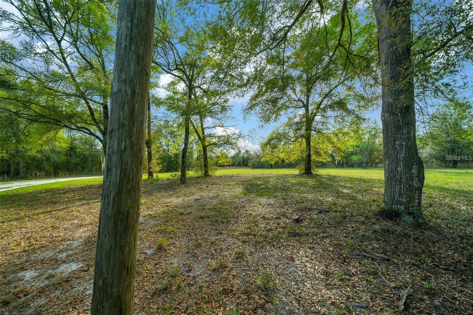 5310 SW 53RD LN, TRENTON, FL, 32693