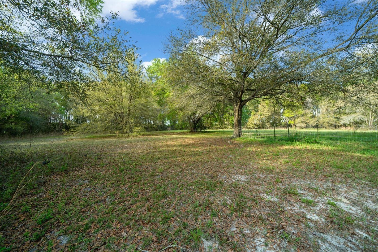 5310 SW 53RD LN, TRENTON, FL, 32693