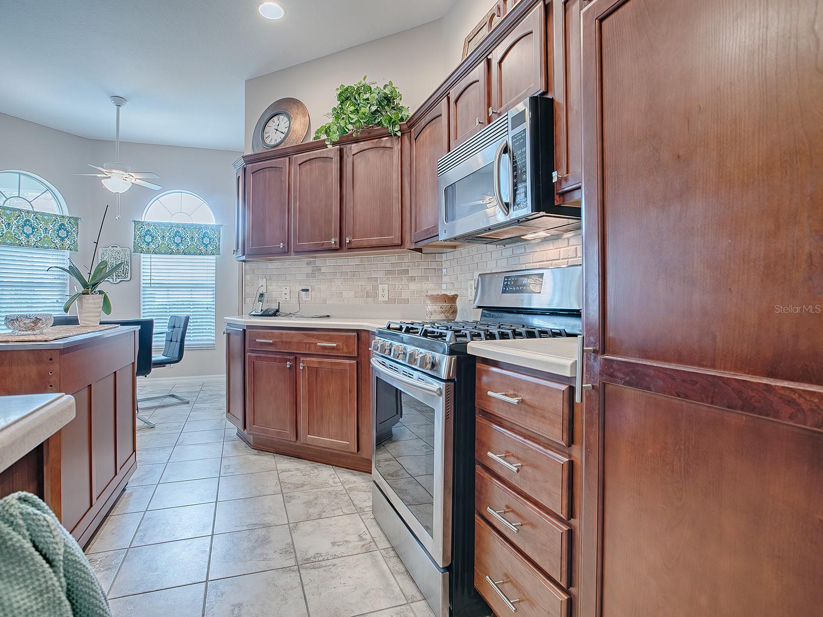 1632 PLUM BRANCH TER, THE VILLAGES, FL, 32162