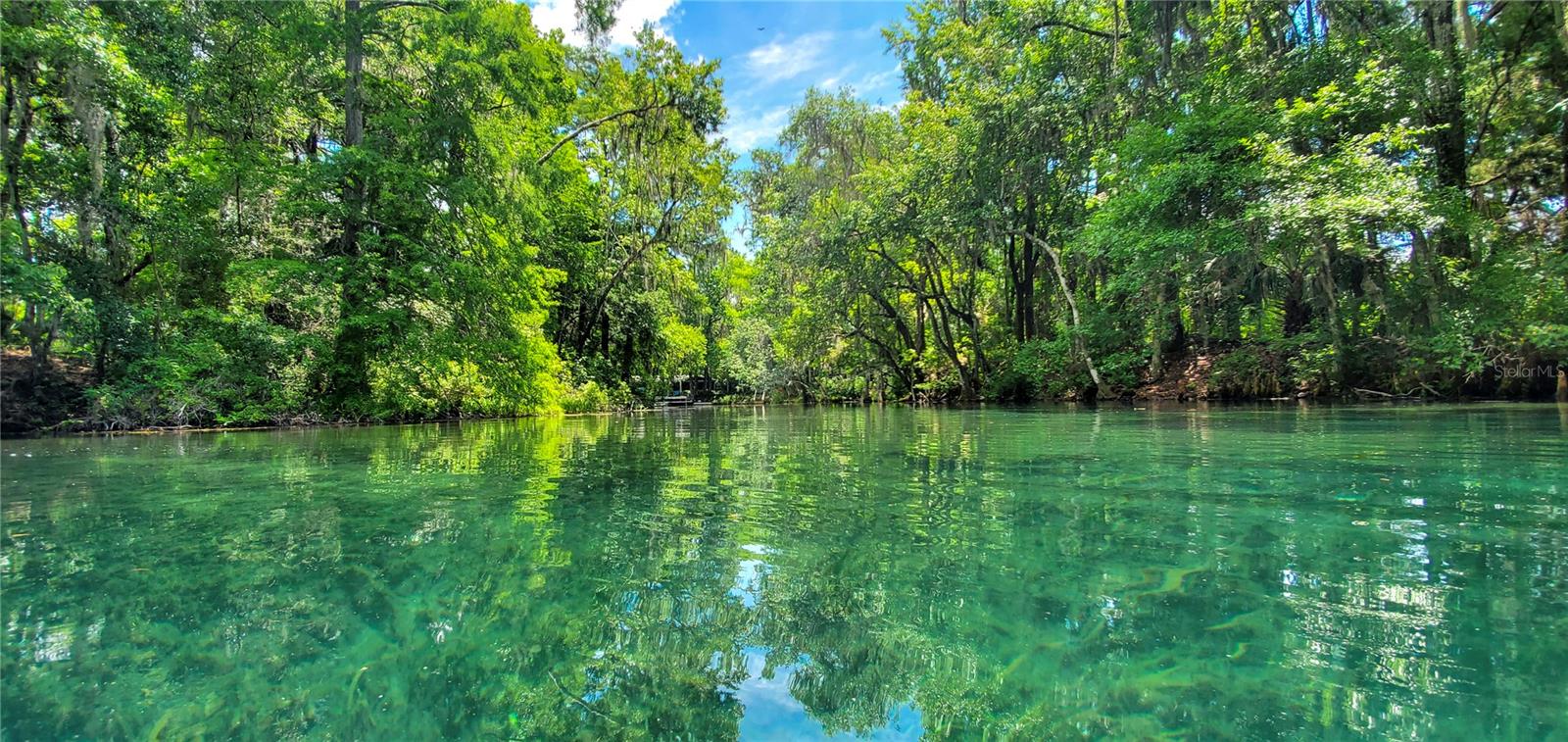 12308 SW 66TH ST, OCALA, FL, 34481