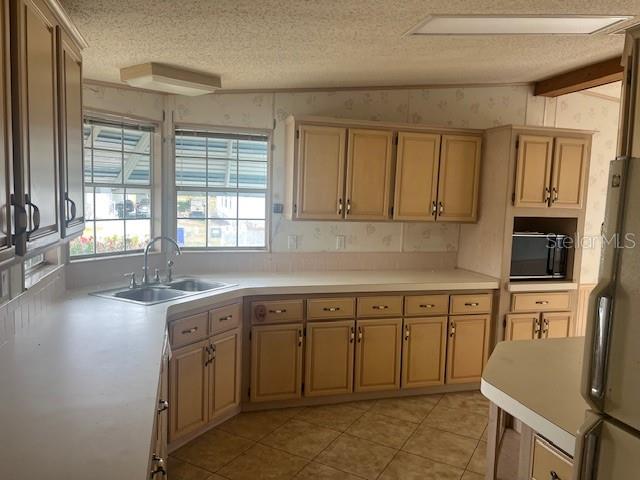 3009 MANATEE RD, TAVARES, FL, 32778