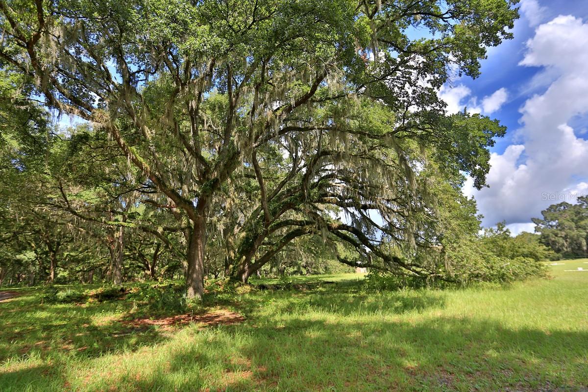 18108 SE COUNTY ROAD 2082, HAWTHORNE, FL, 32640