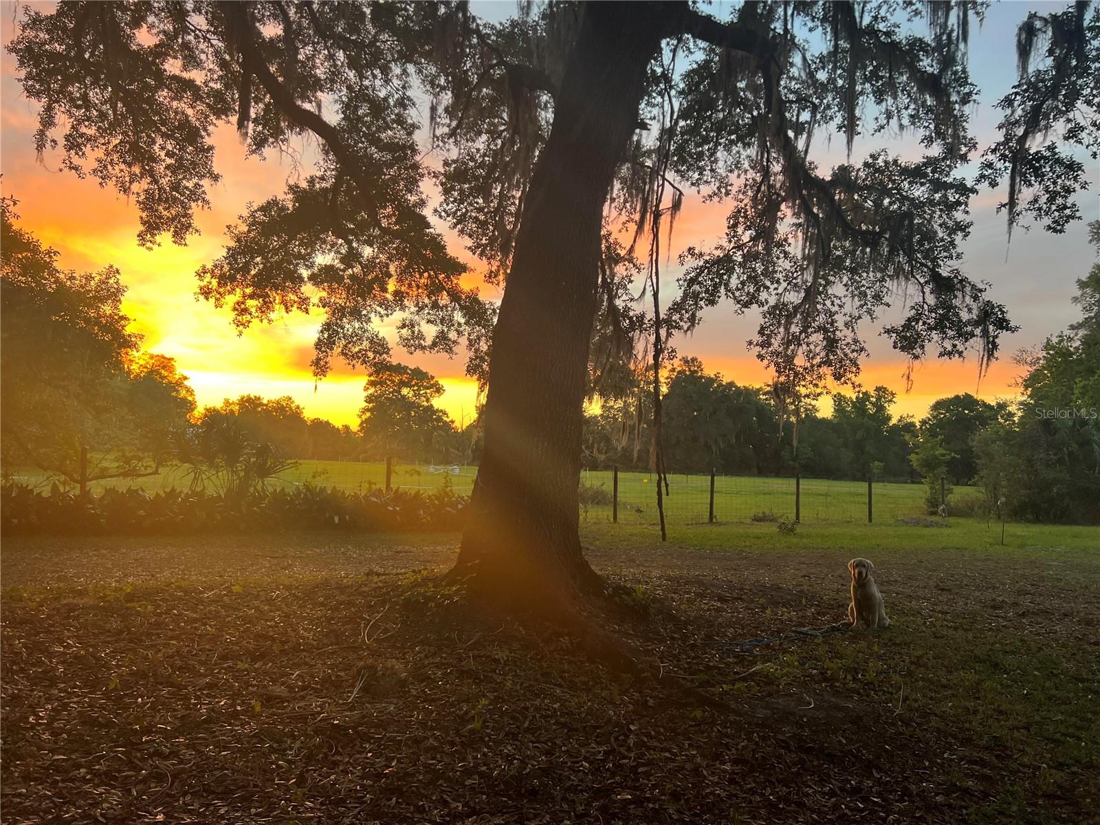 18108 SE COUNTY ROAD 2082, HAWTHORNE, FL, 32640