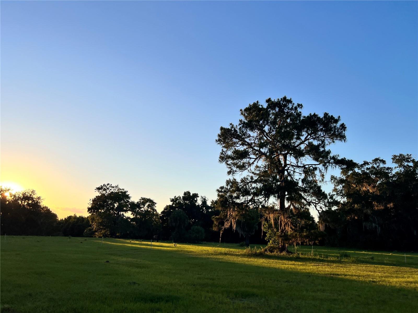 18108 SE COUNTY ROAD 2082, HAWTHORNE, FL, 32640