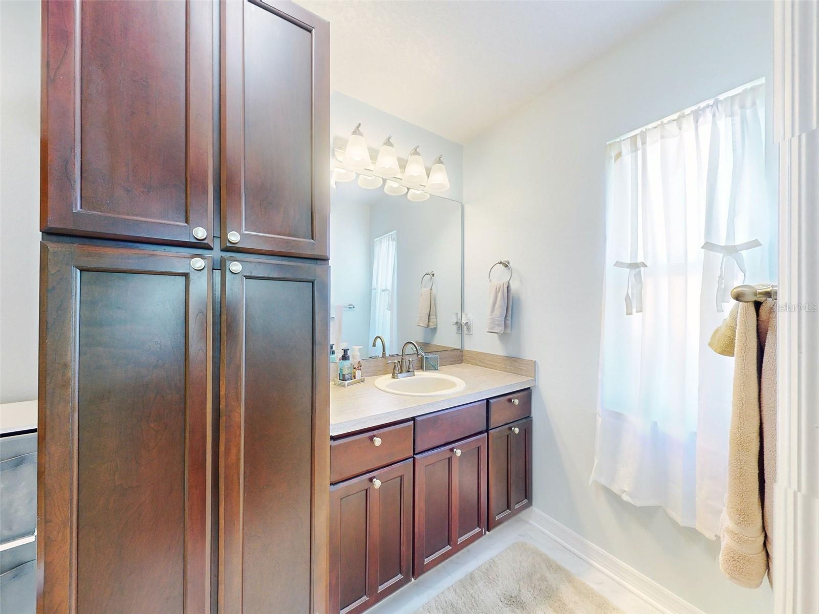 27018 NATURE VIEW ST, LEESBURG, FL, 34748