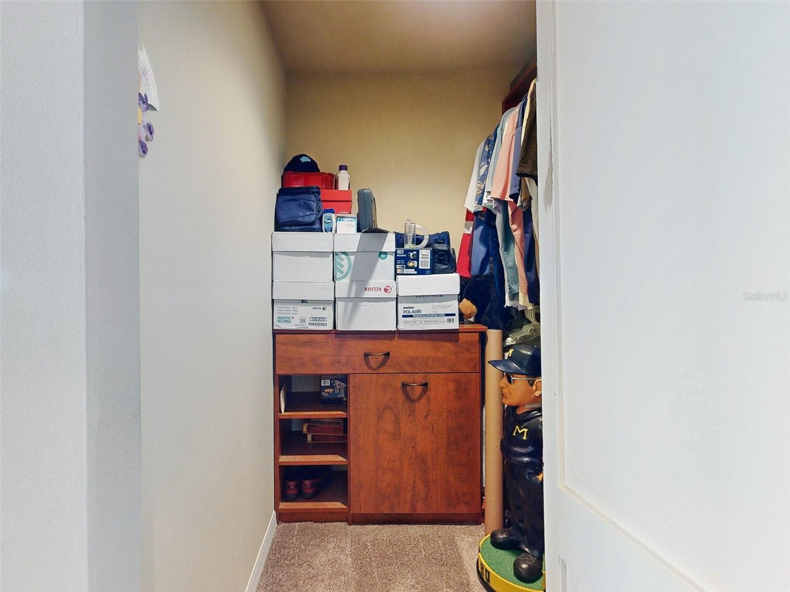 27018 NATURE VIEW ST, LEESBURG, FL, 34748
