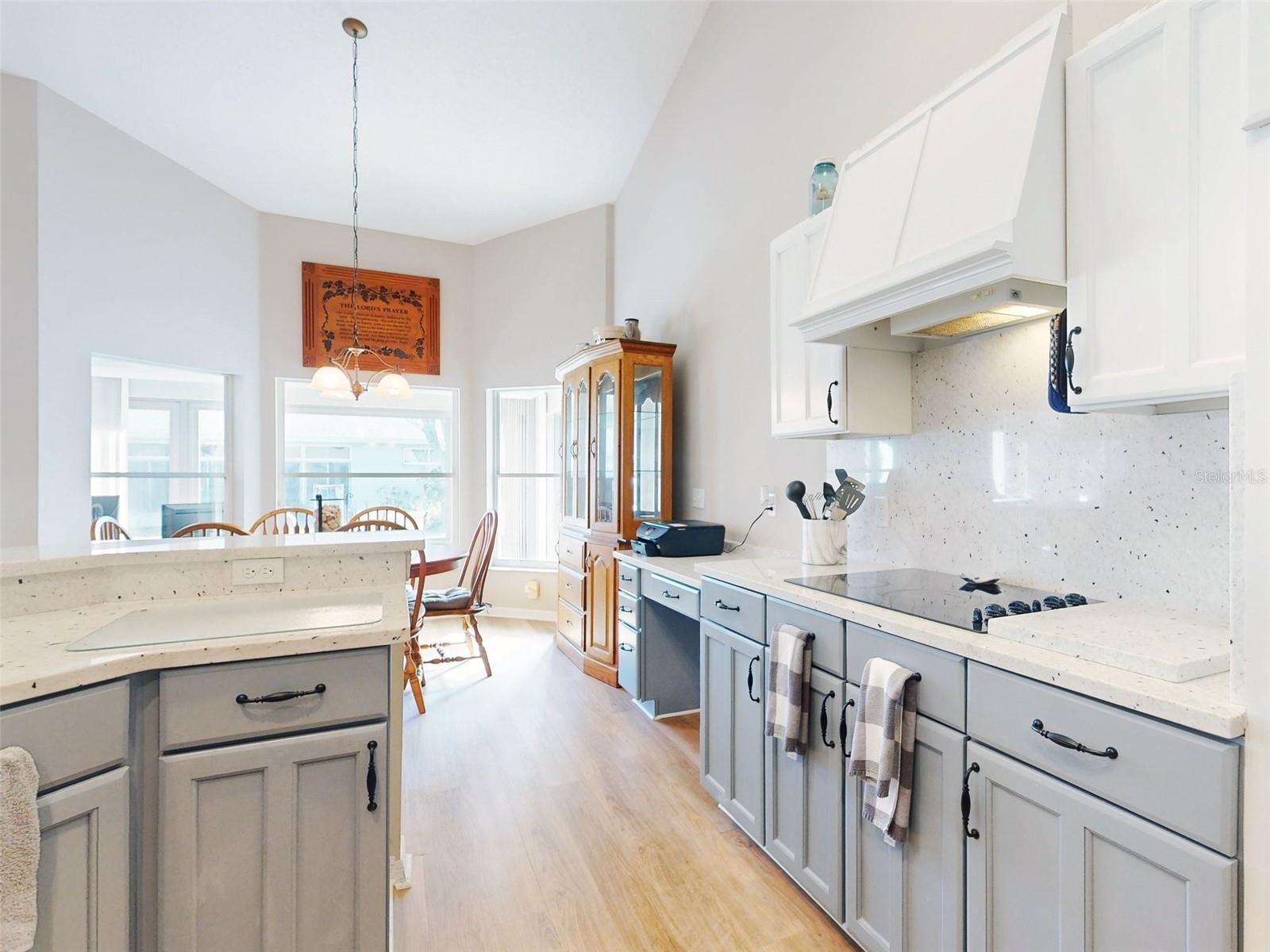 27018 NATURE VIEW ST, LEESBURG, FL, 34748