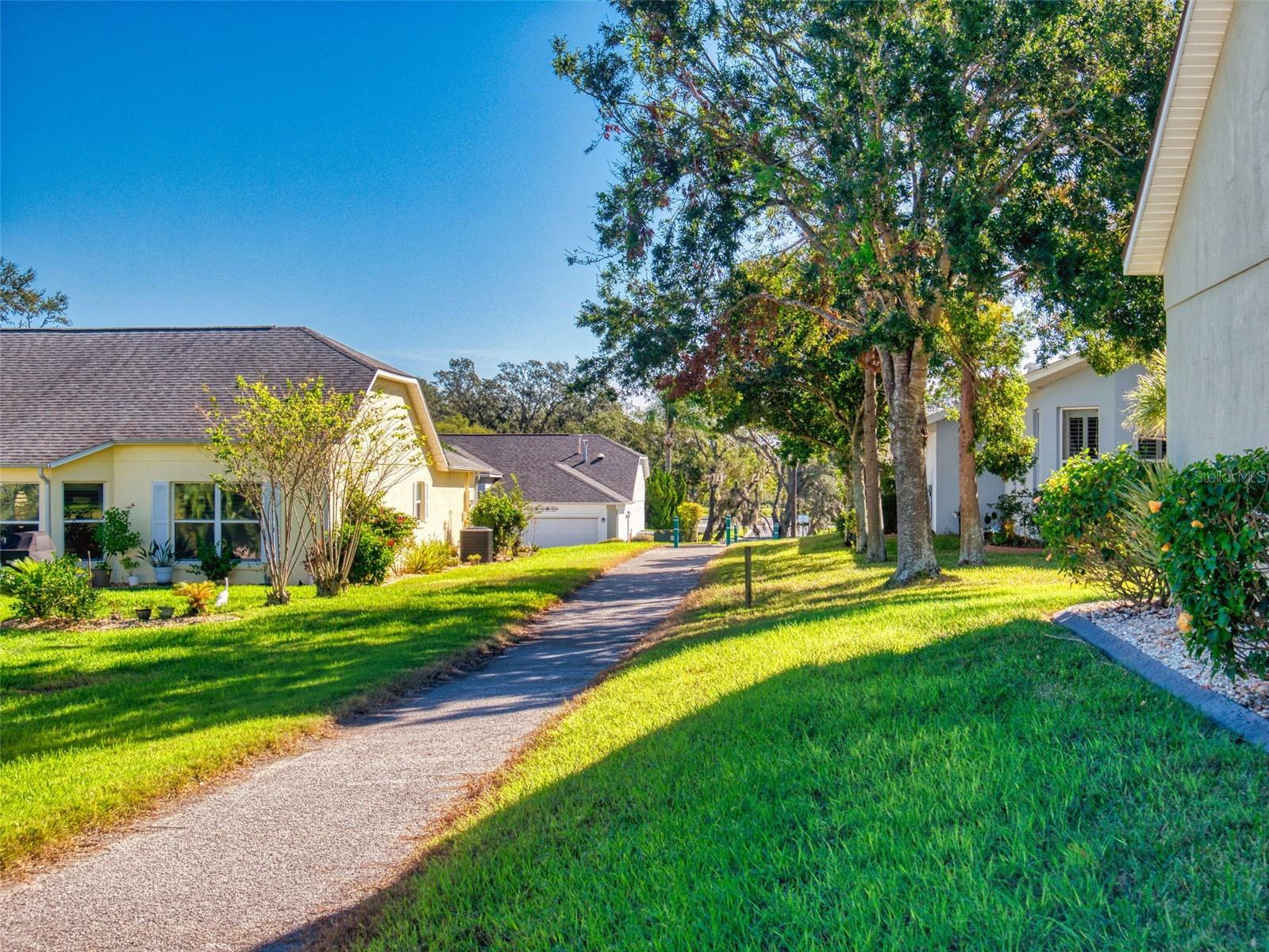27018 NATURE VIEW ST, LEESBURG, FL, 34748