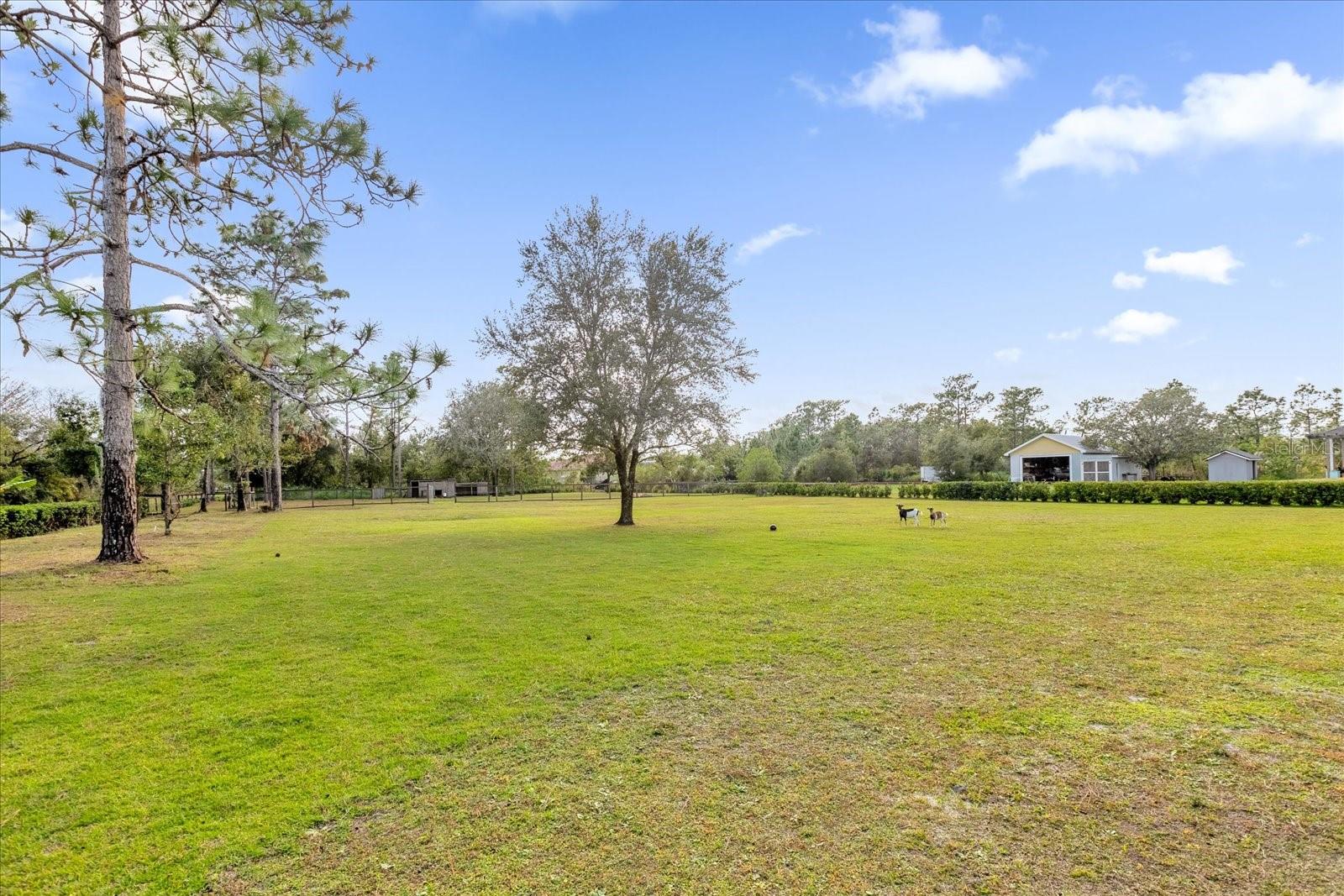 19206 ROBERTSON ST, ORLANDO, FL, 32833