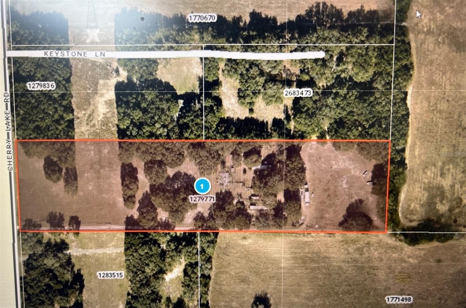 FRUITLAND PARK, FL, 34731