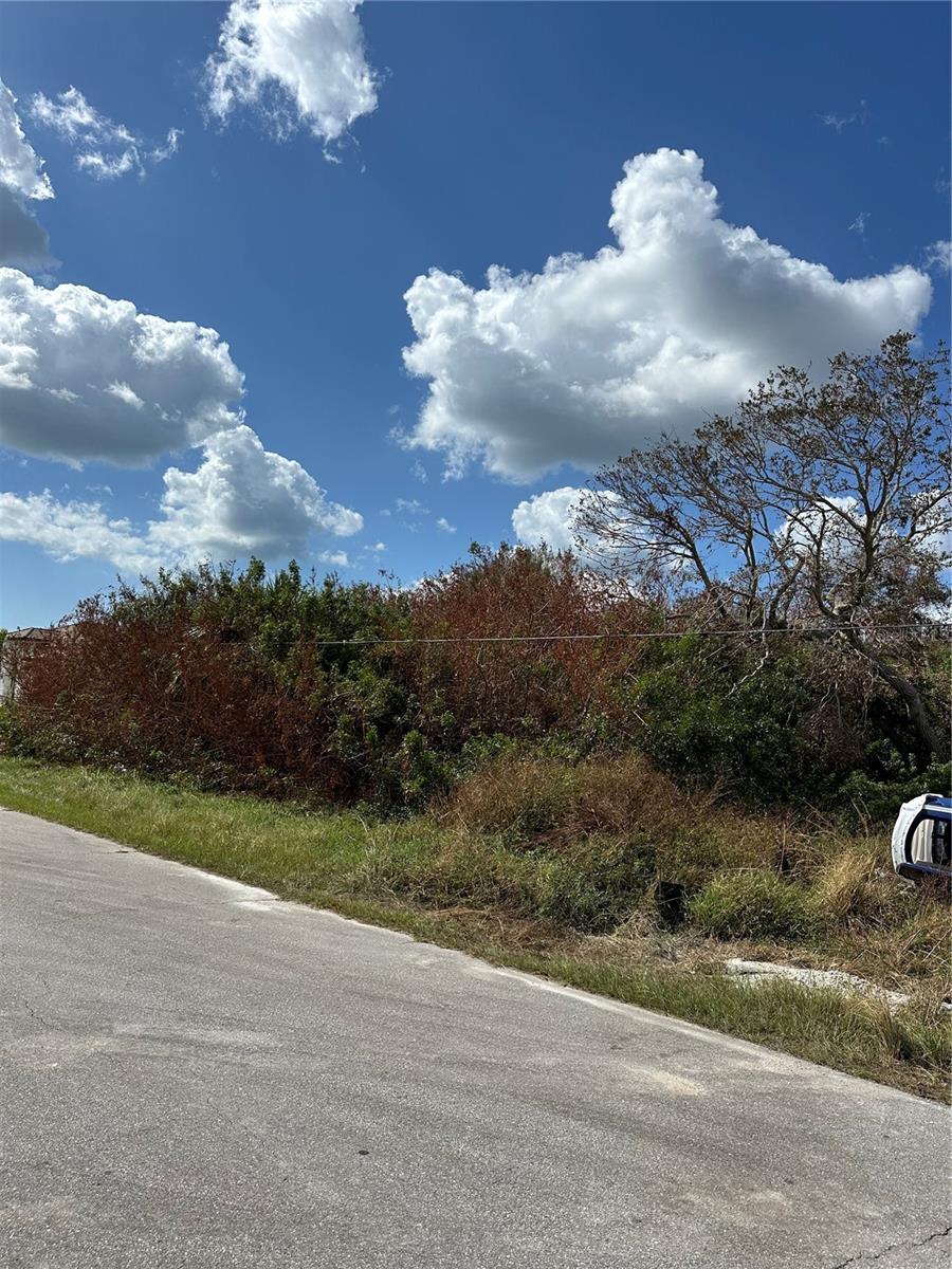 232 SPRING DR, ROTONDA WEST, FL, 33947
