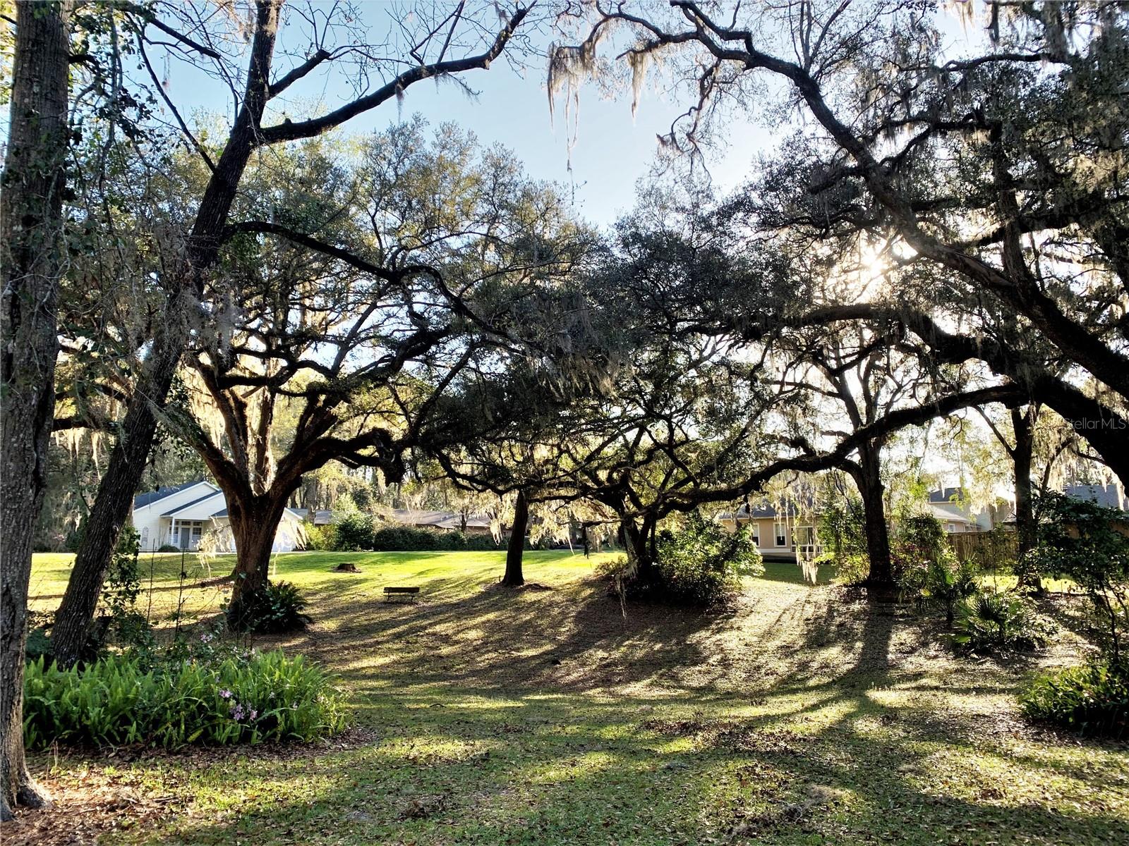 11443 NW 71ST WAY, ALACHUA, FL, 32615