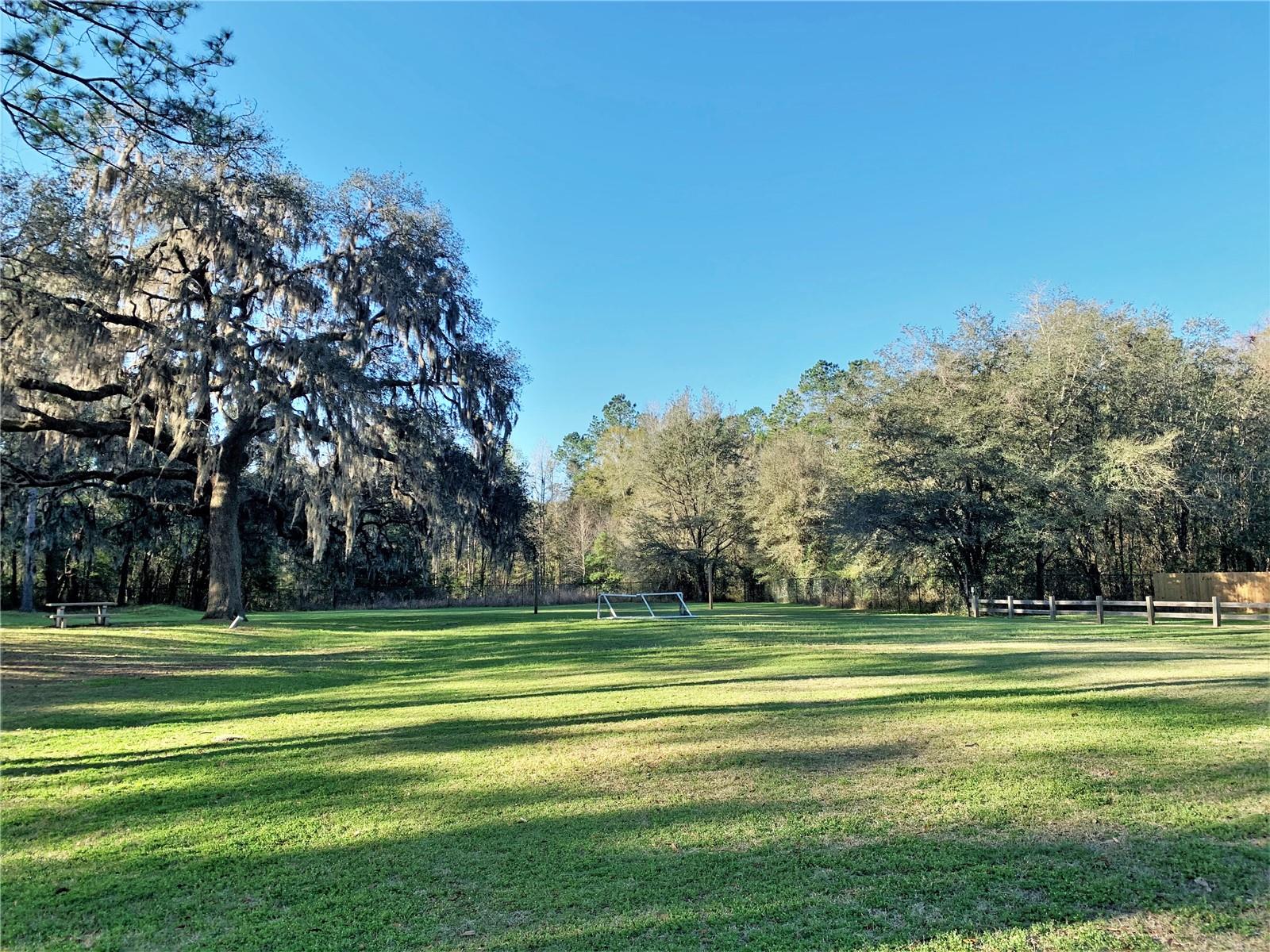 11443 NW 71ST WAY, ALACHUA, FL, 32615