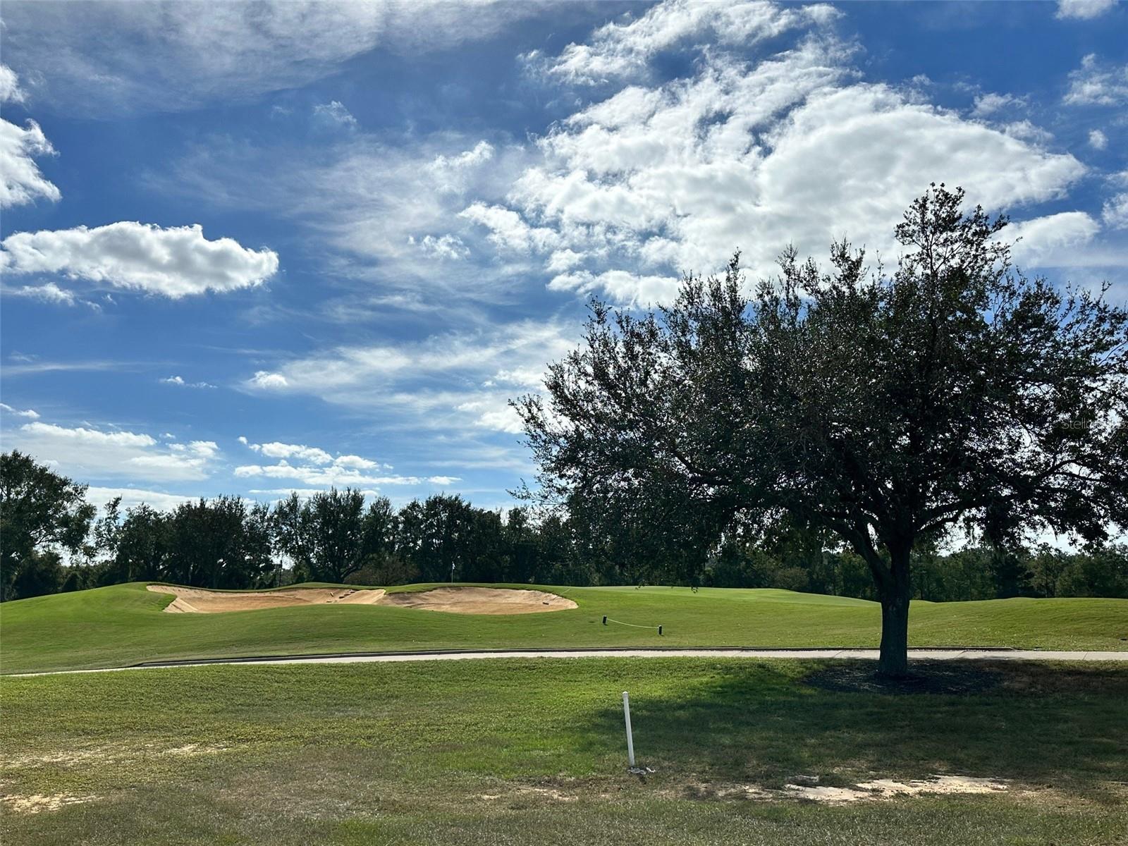 16042 VETTA DR, BELLA COLLINA, FL, 34756