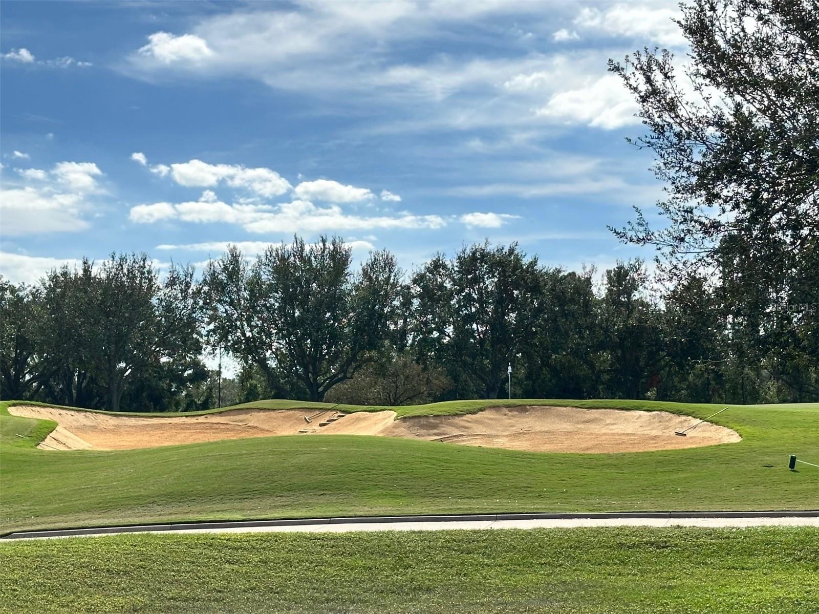 16042 VETTA DR, BELLA COLLINA, FL, 34756
