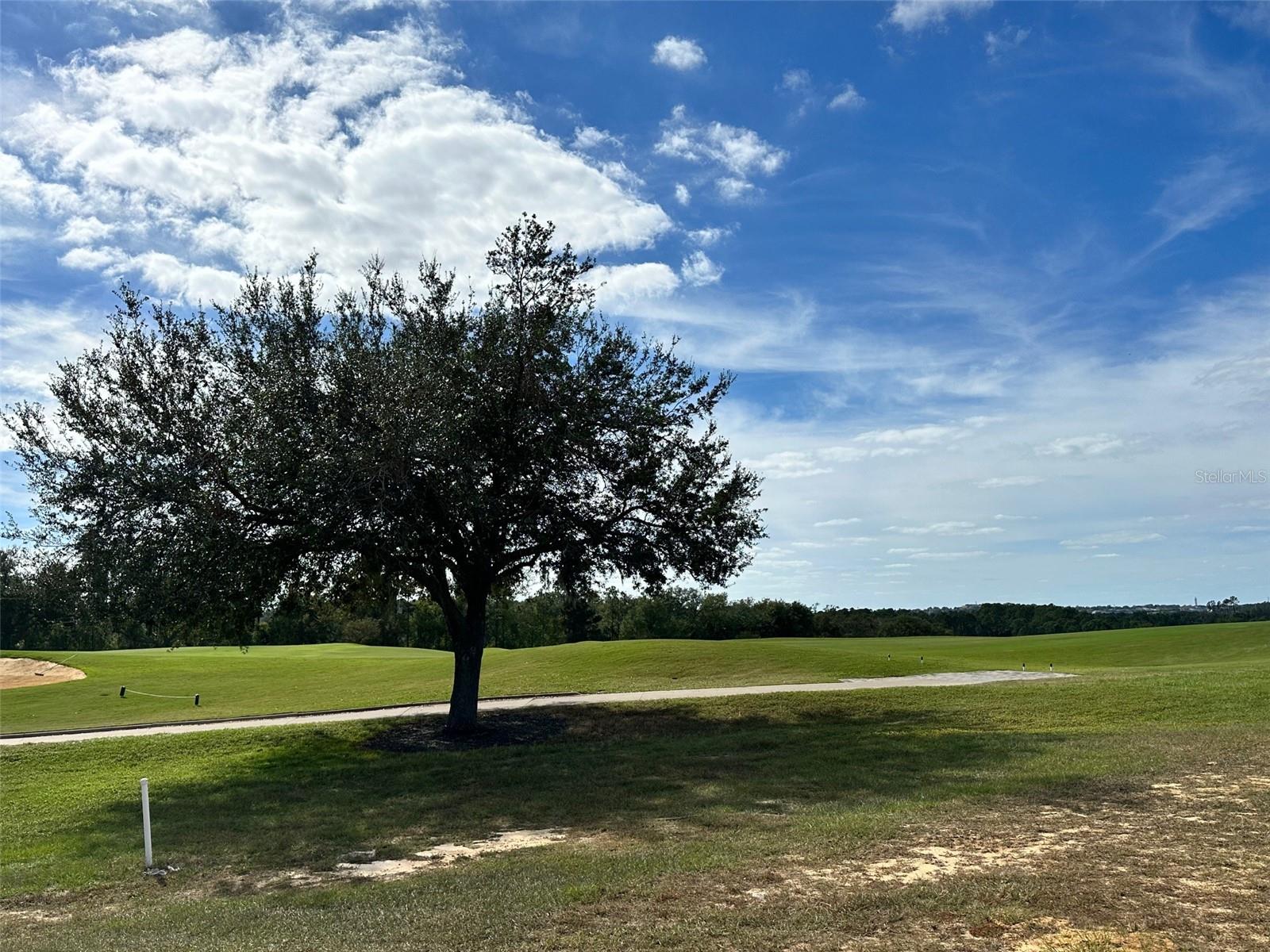 16042 VETTA DR, BELLA COLLINA, FL, 34756