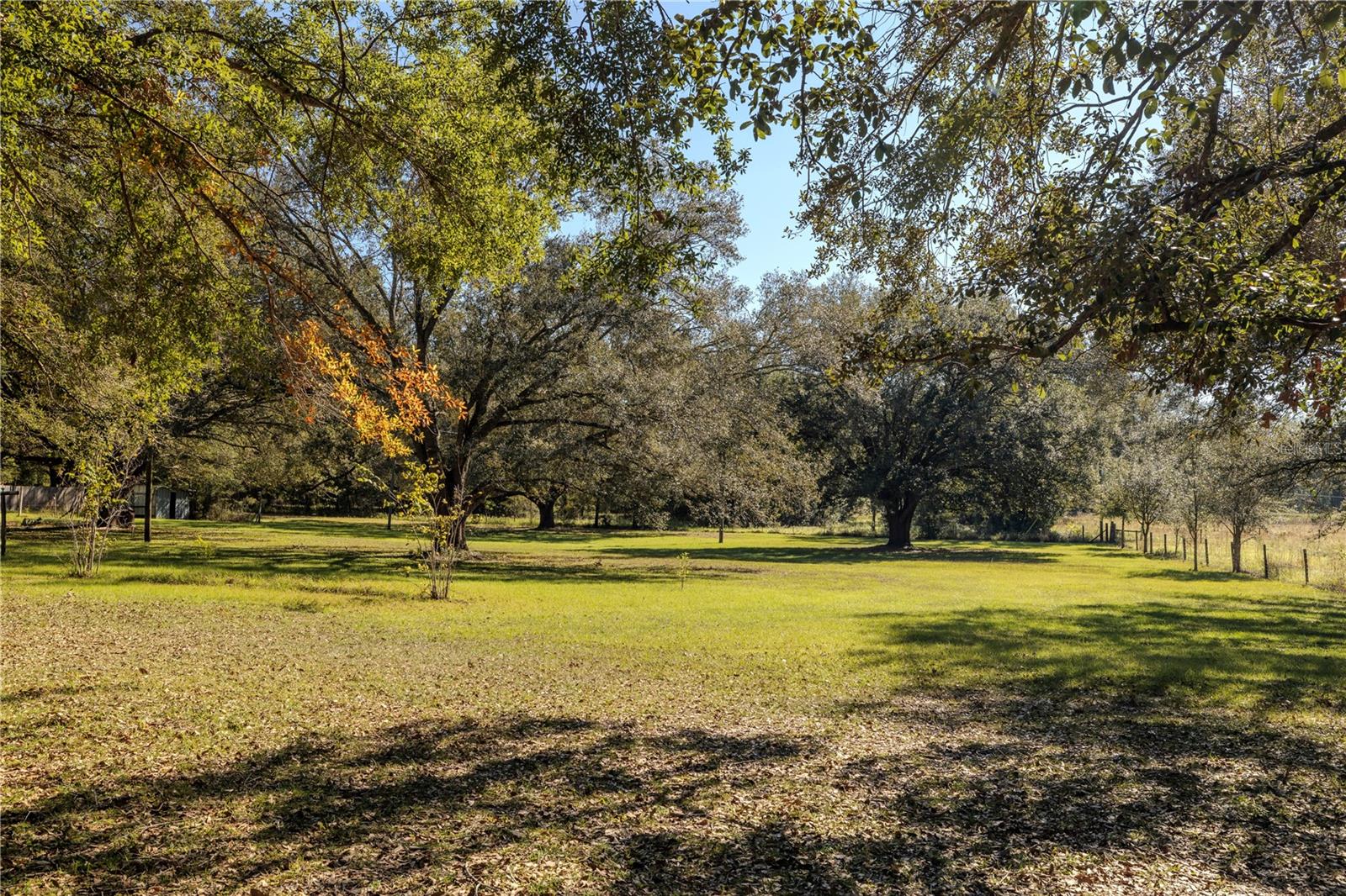 230 SW CHARLIE LN, LAKE CITY, FL, 32024