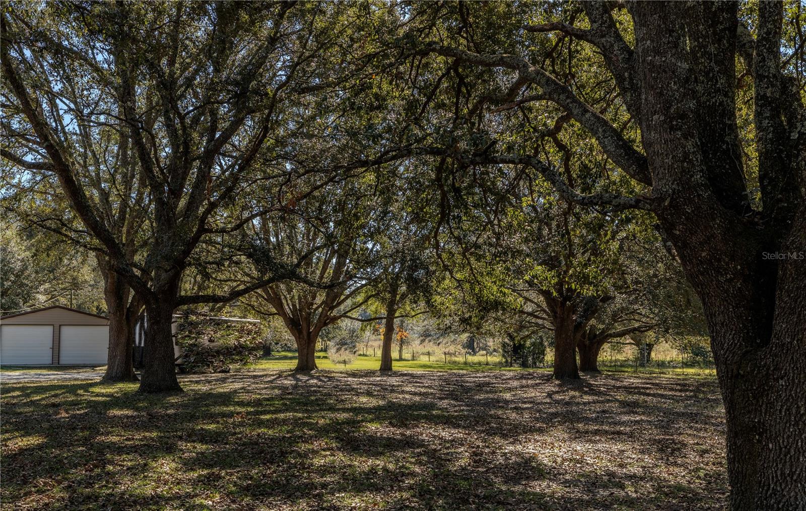 230 SW CHARLIE LN, LAKE CITY, FL, 32024