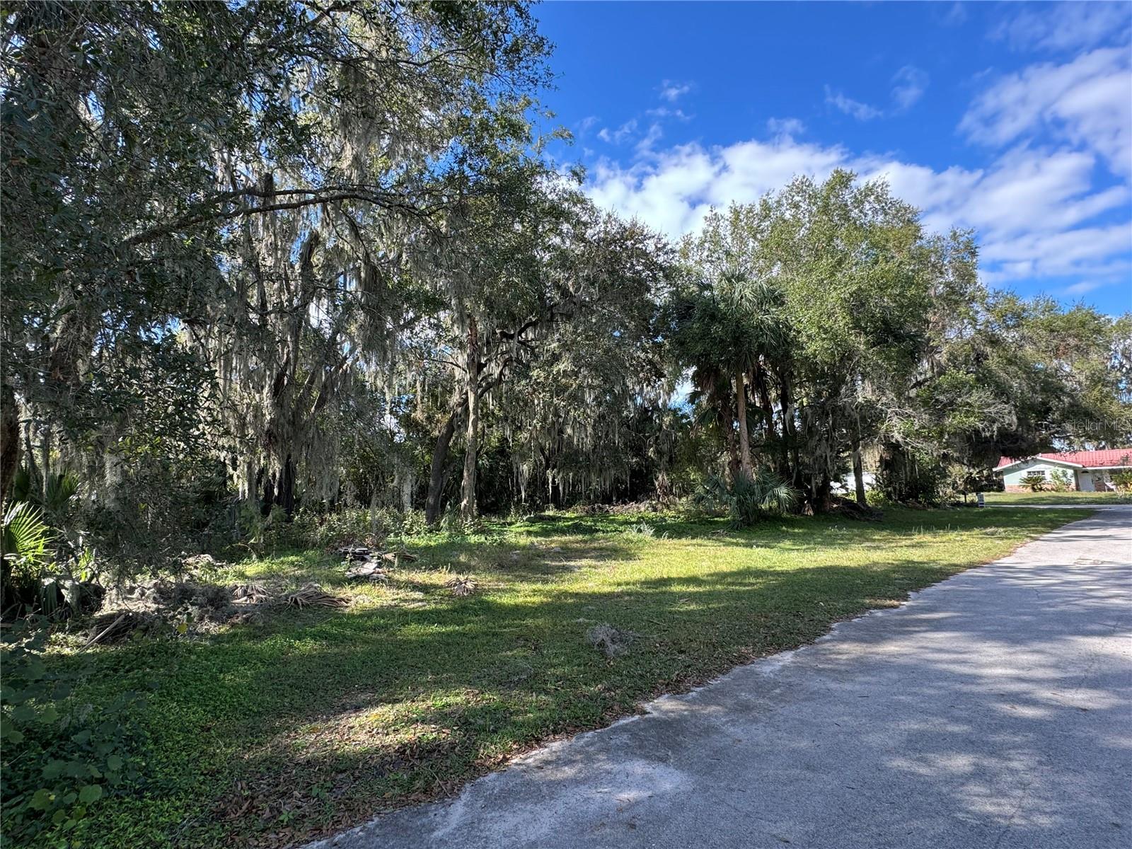 00 NW 217TH ST, MICANOPY, FL, 32667