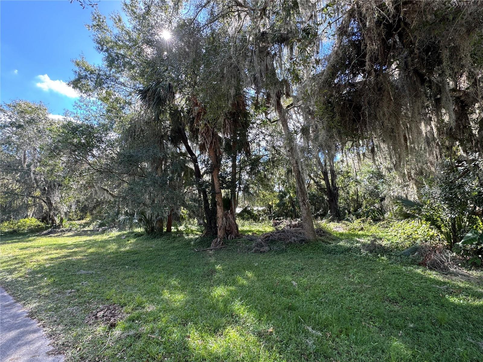 00 NW 217TH ST, MICANOPY, FL, 32667