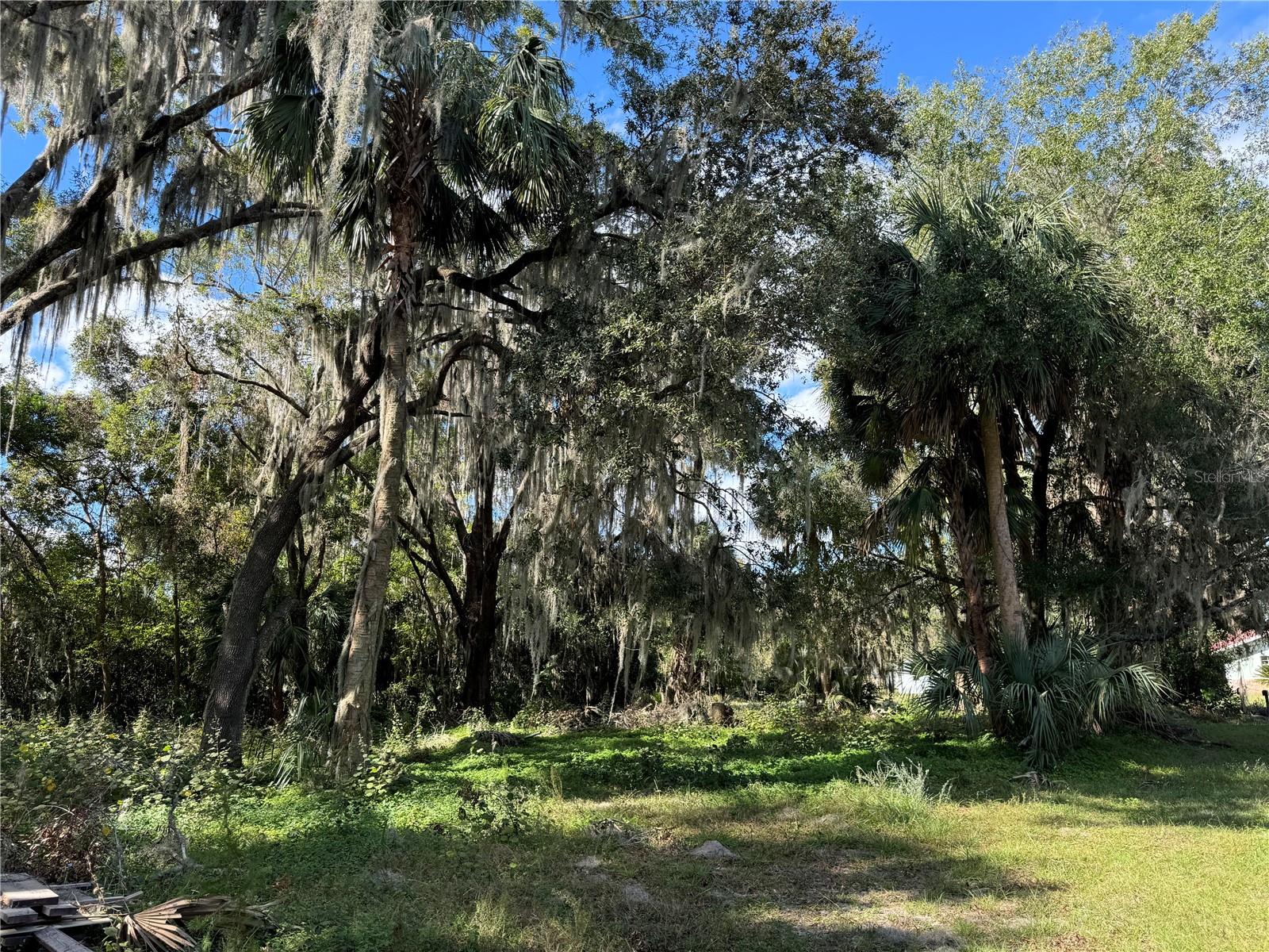00 NW 217TH ST, MICANOPY, FL, 32667