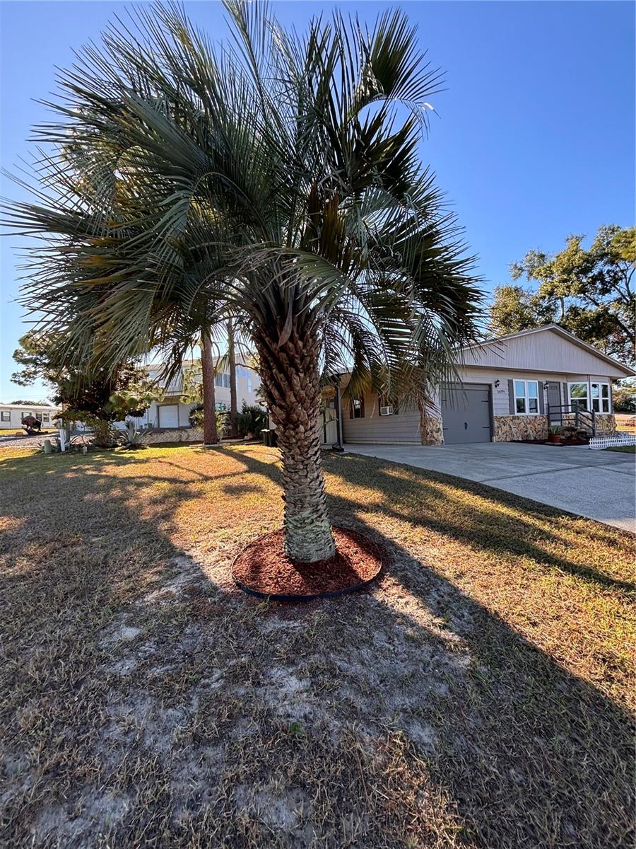 14199 BROOKRIDGE BLVD, BROOKSVILLE, FL, 34613