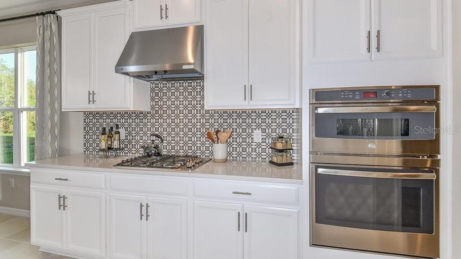2012 LONGLINER LOOP, WESLEY CHAPEL, FL, 33543