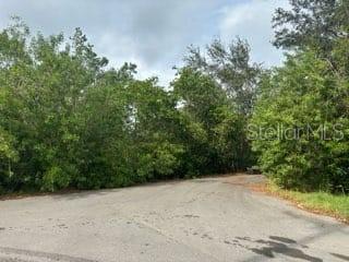 0 MABREY AVE, GIBSONTON, FL, 33534
