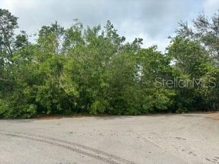 0 MABREY AVE, GIBSONTON, FL, 33534