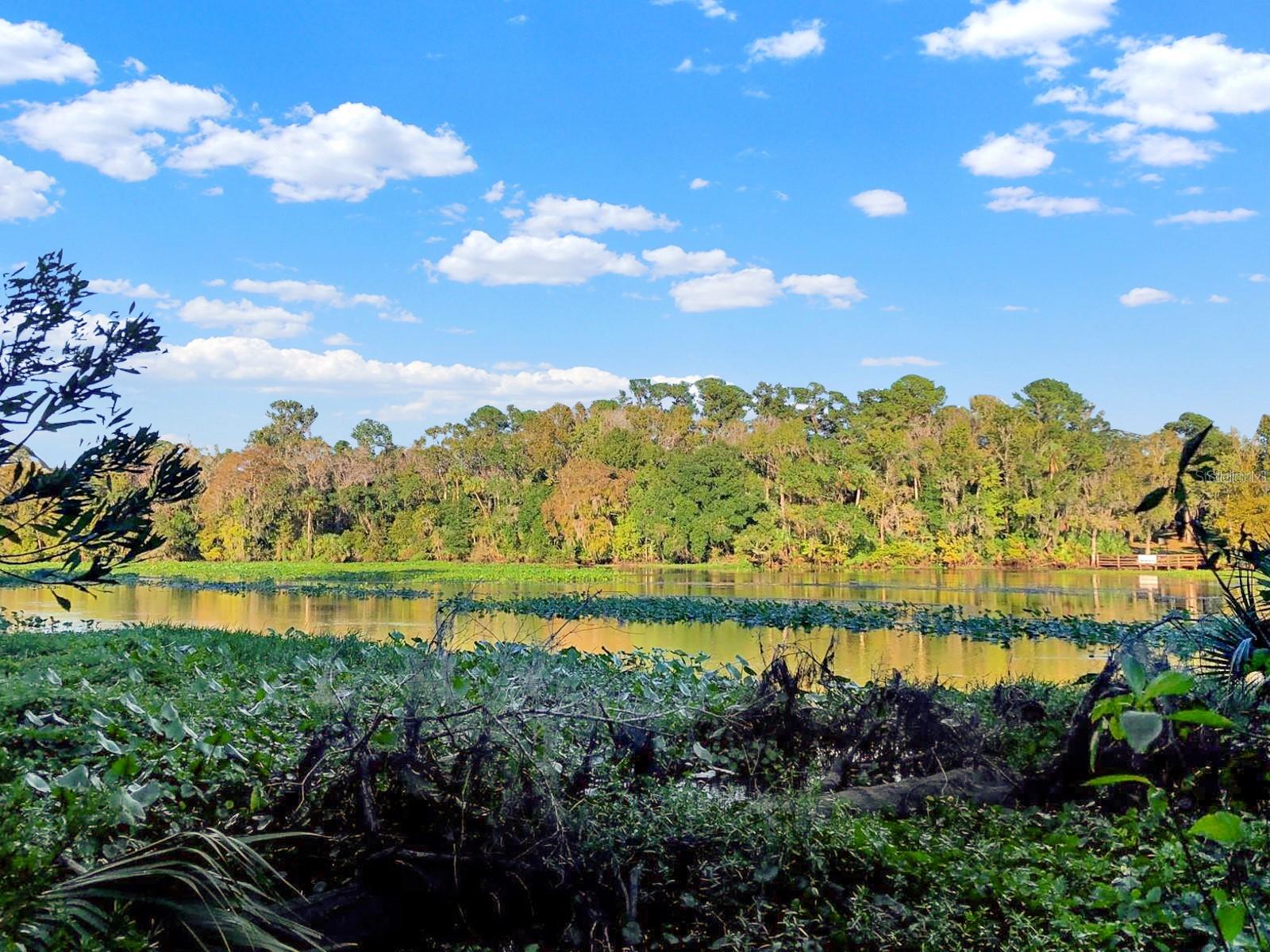 BRONSON RD, SORRENTO, FL, 32776