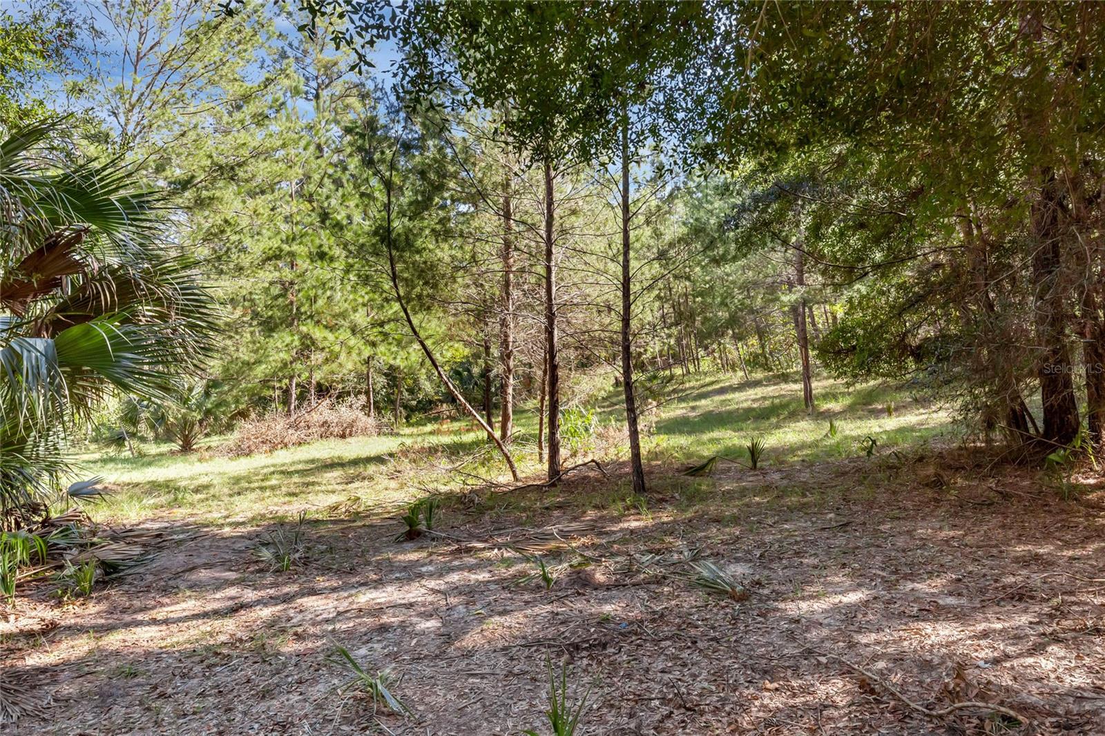 BRONSON RD, SORRENTO, FL, 32776