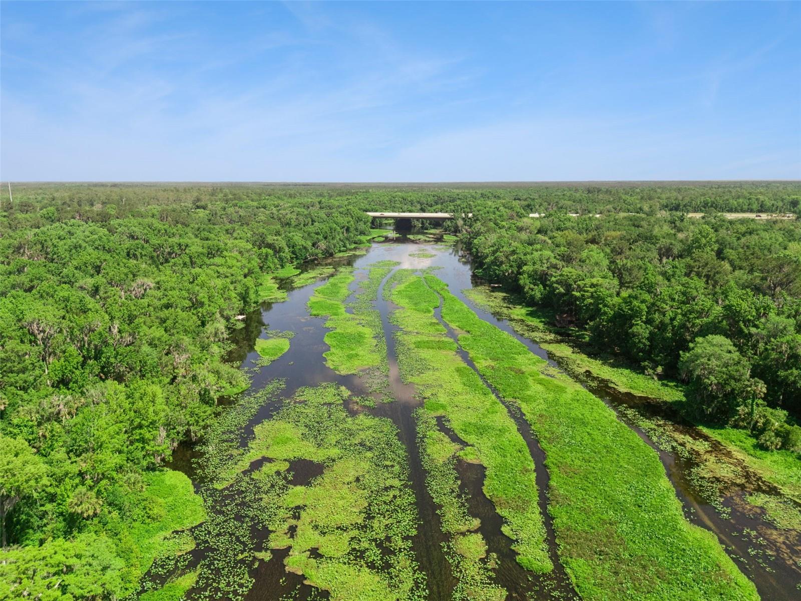 BRONSON RD, SORRENTO, FL, 32776