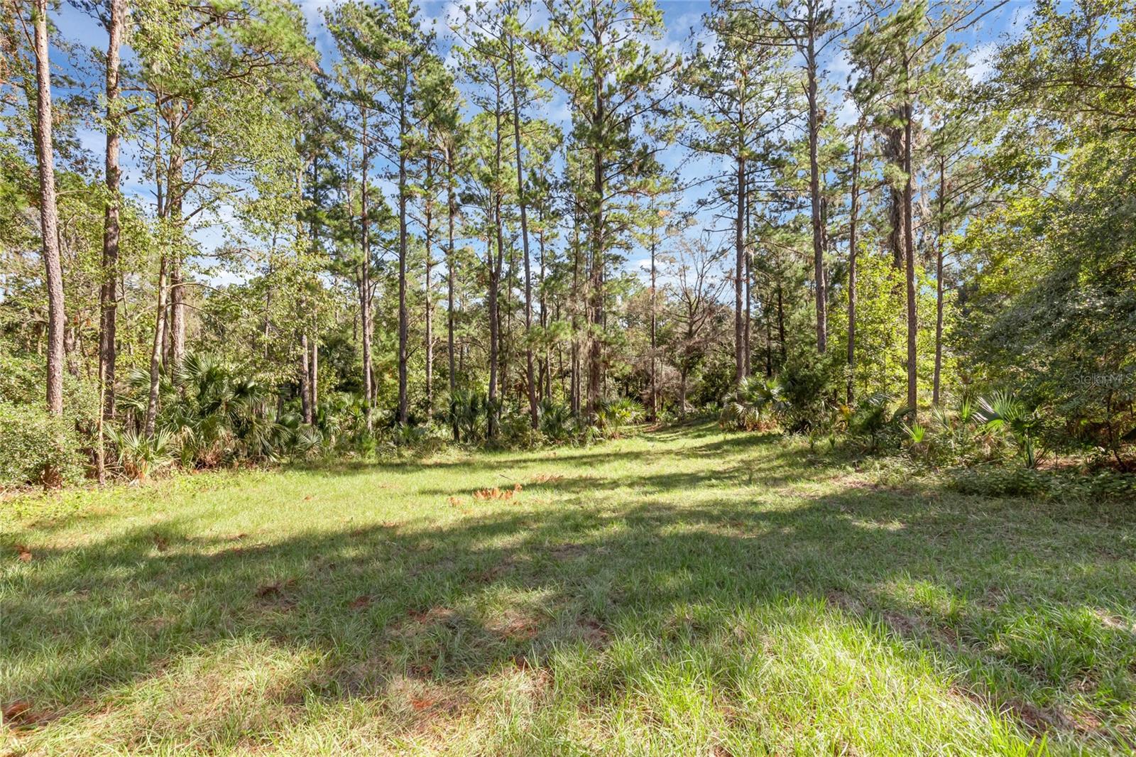 BRONSON RD, SORRENTO, FL, 32776
