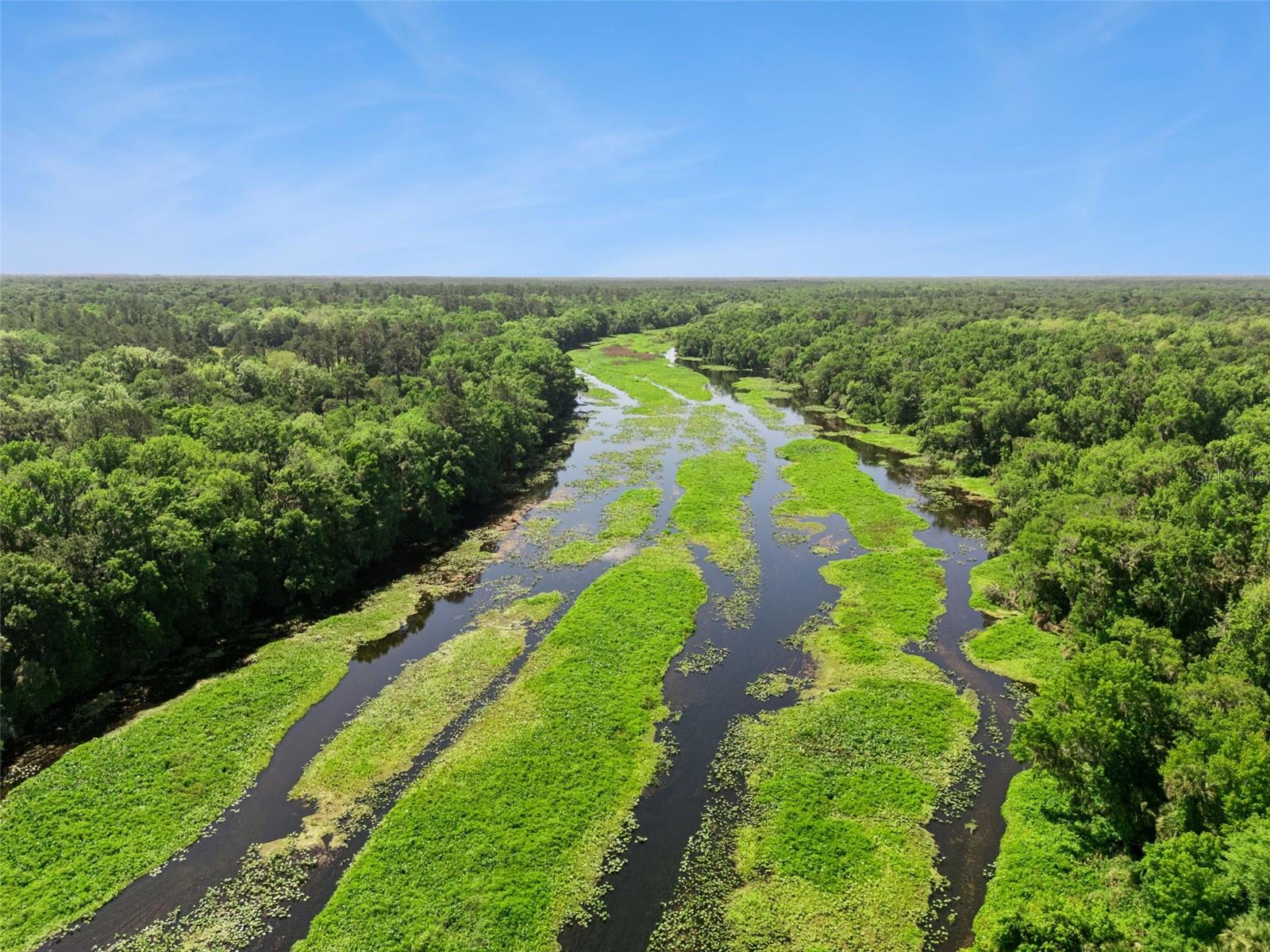 BRONSON RD, SORRENTO, FL, 32776