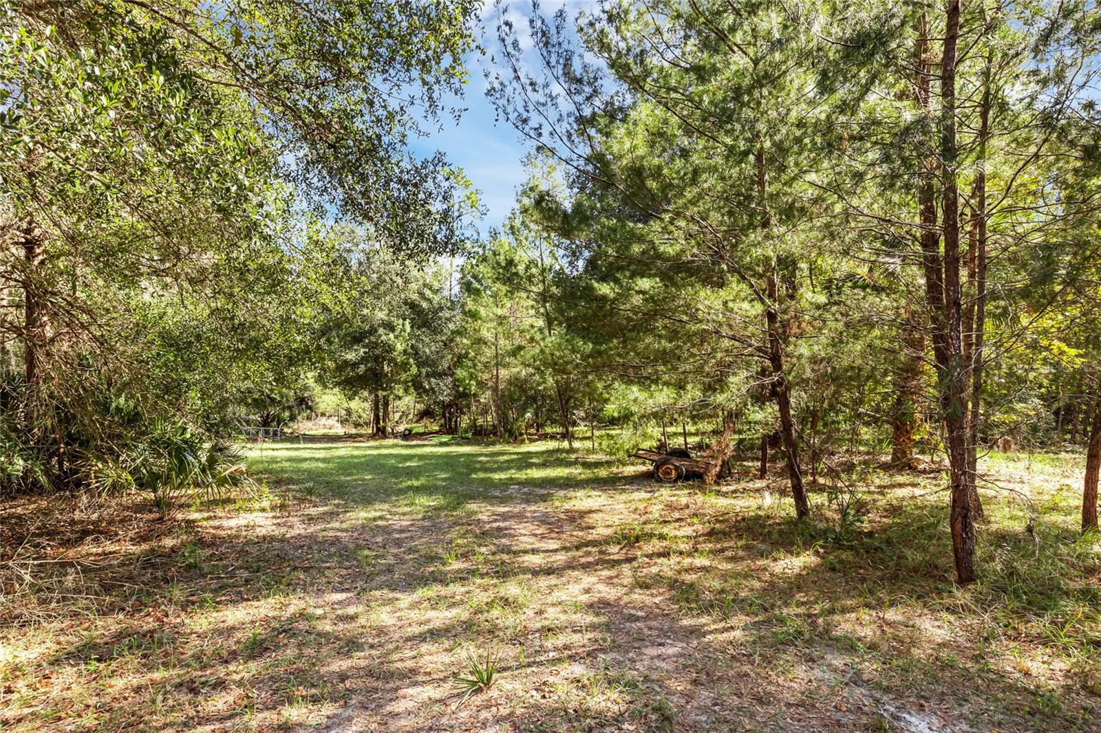BRONSON RD, SORRENTO, FL, 32776