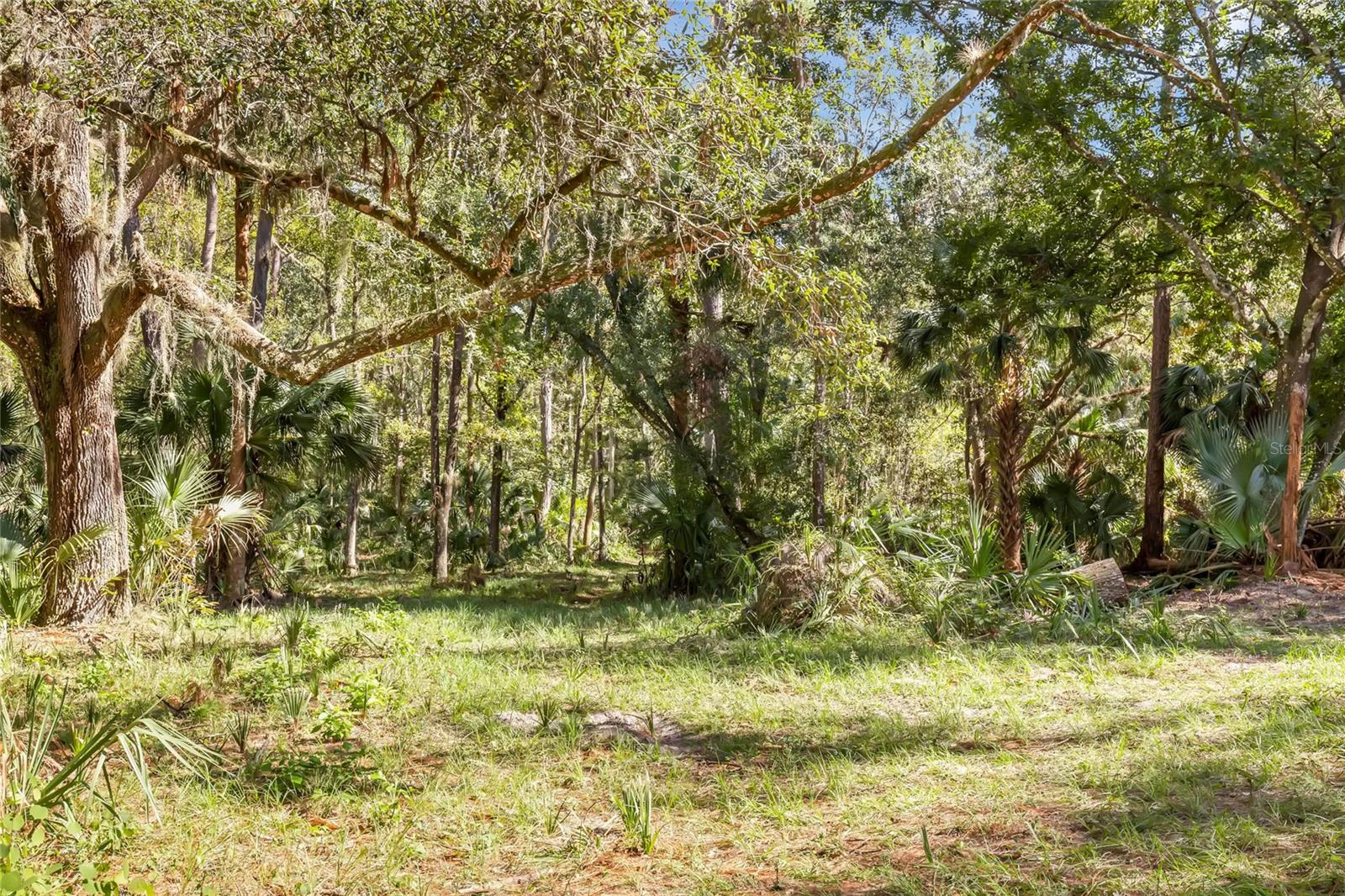 BRONSON RD, SORRENTO, FL, 32776